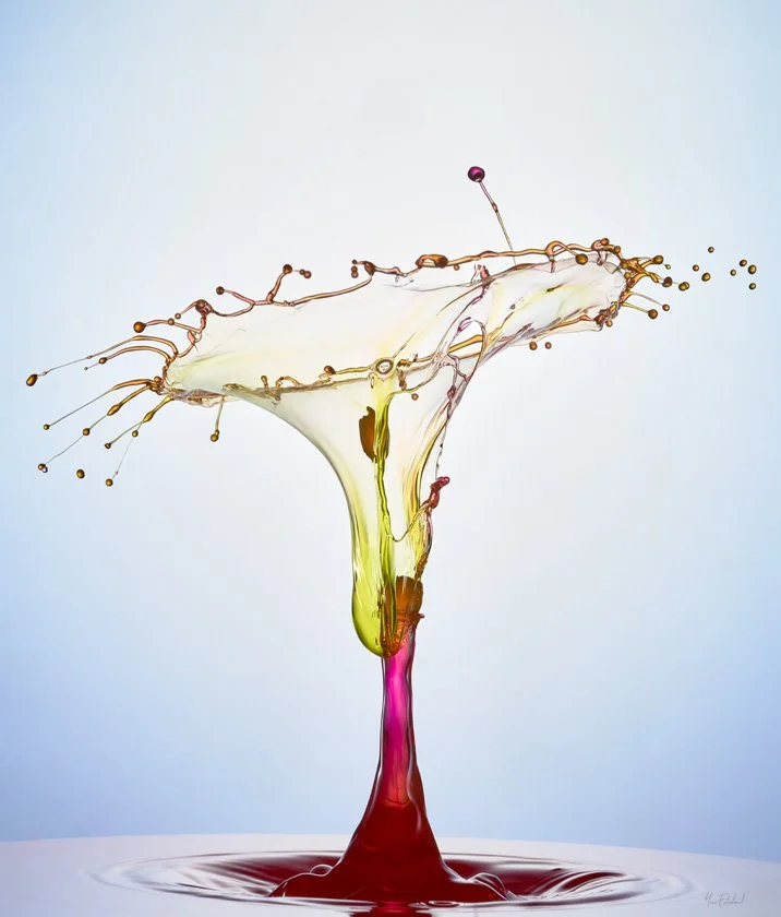 drop collision 2021-10-01-062.jpg