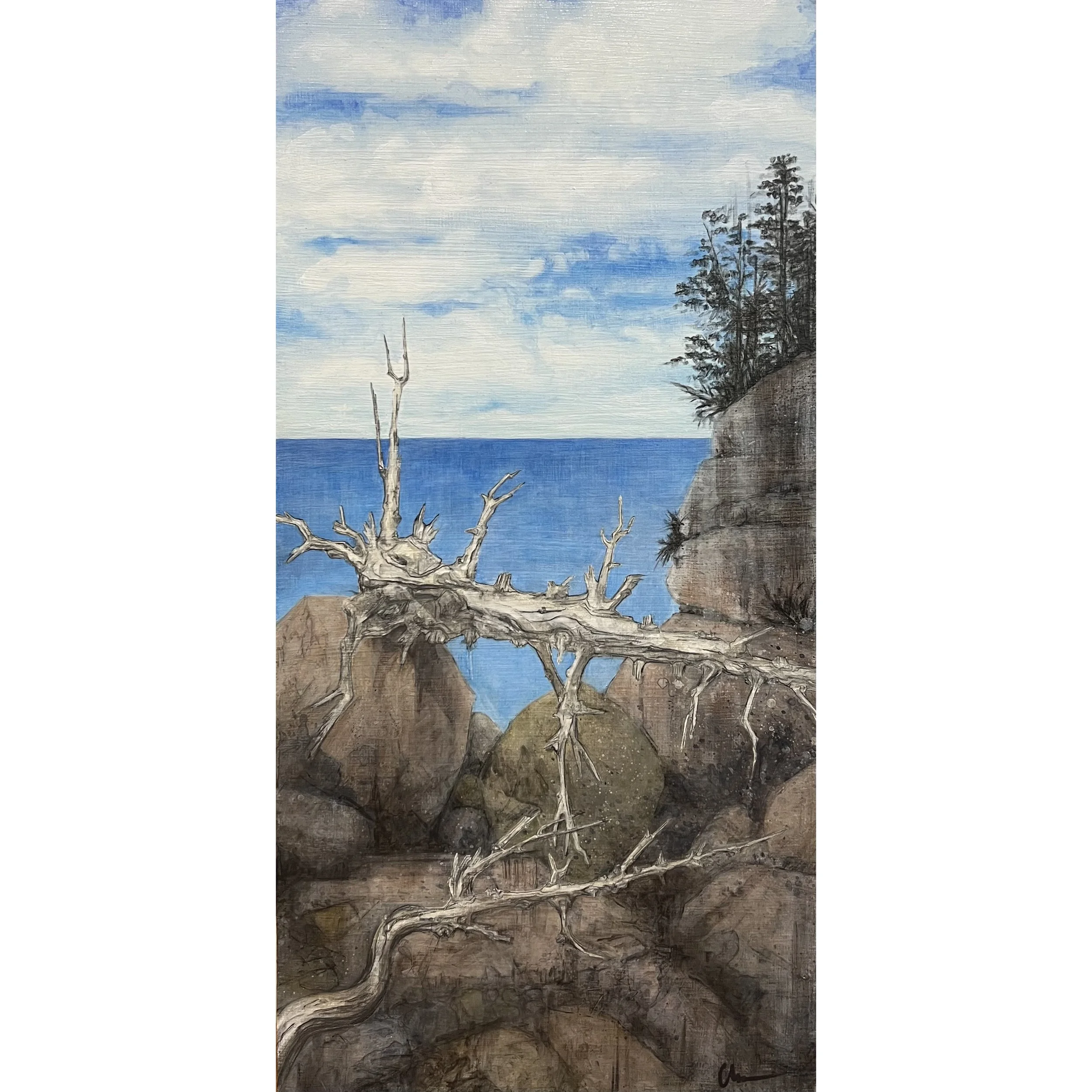 driftwoodmtdesertisland copy.jpeg