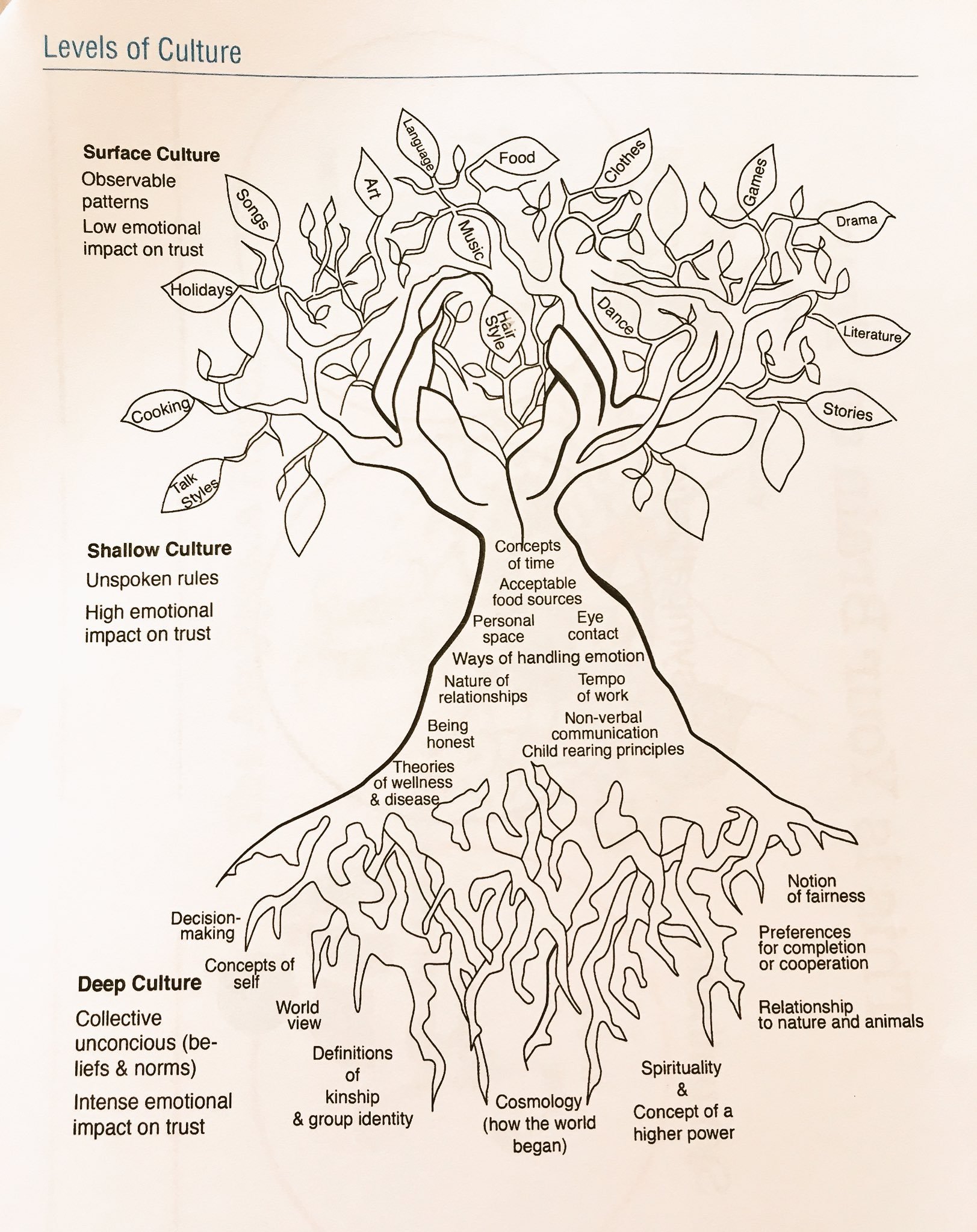 culture tree.jpeg