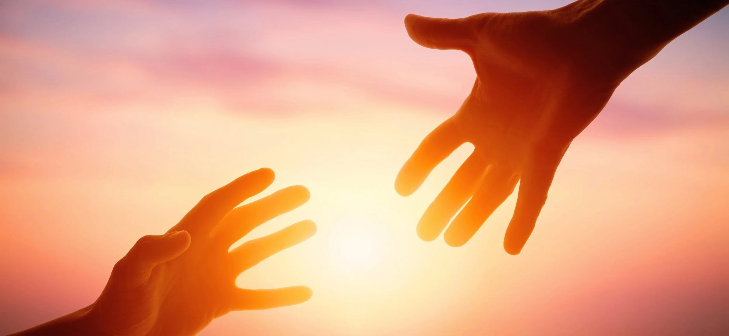 Wildfires: How to Help, How to Protect