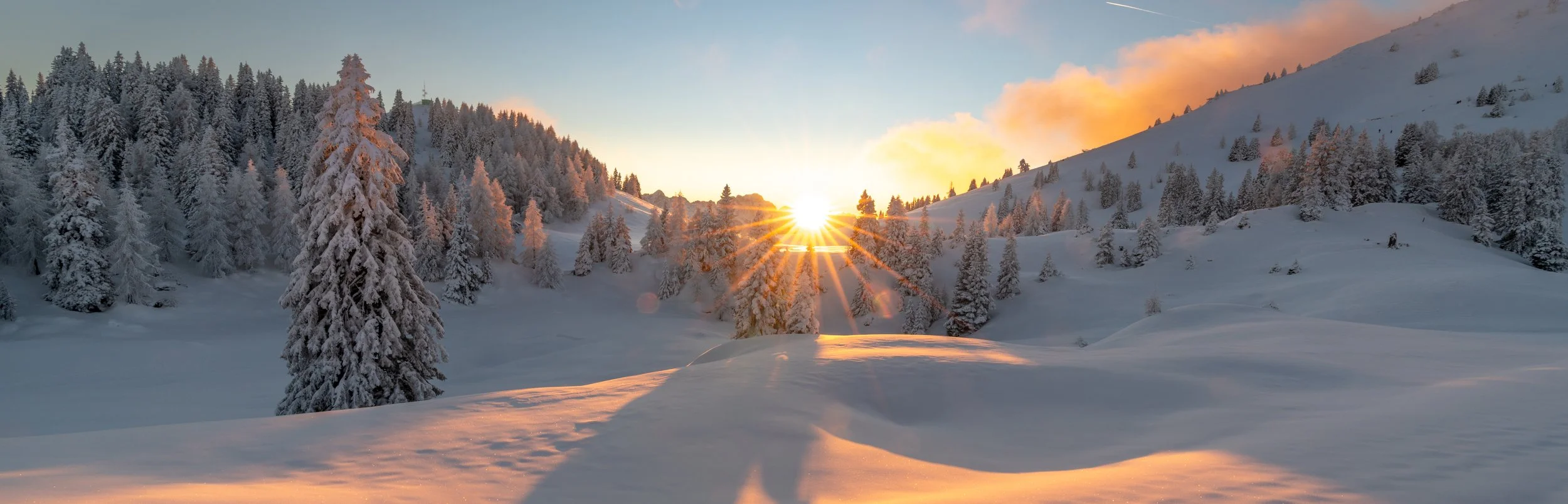 Looking Back and Forward in 2024