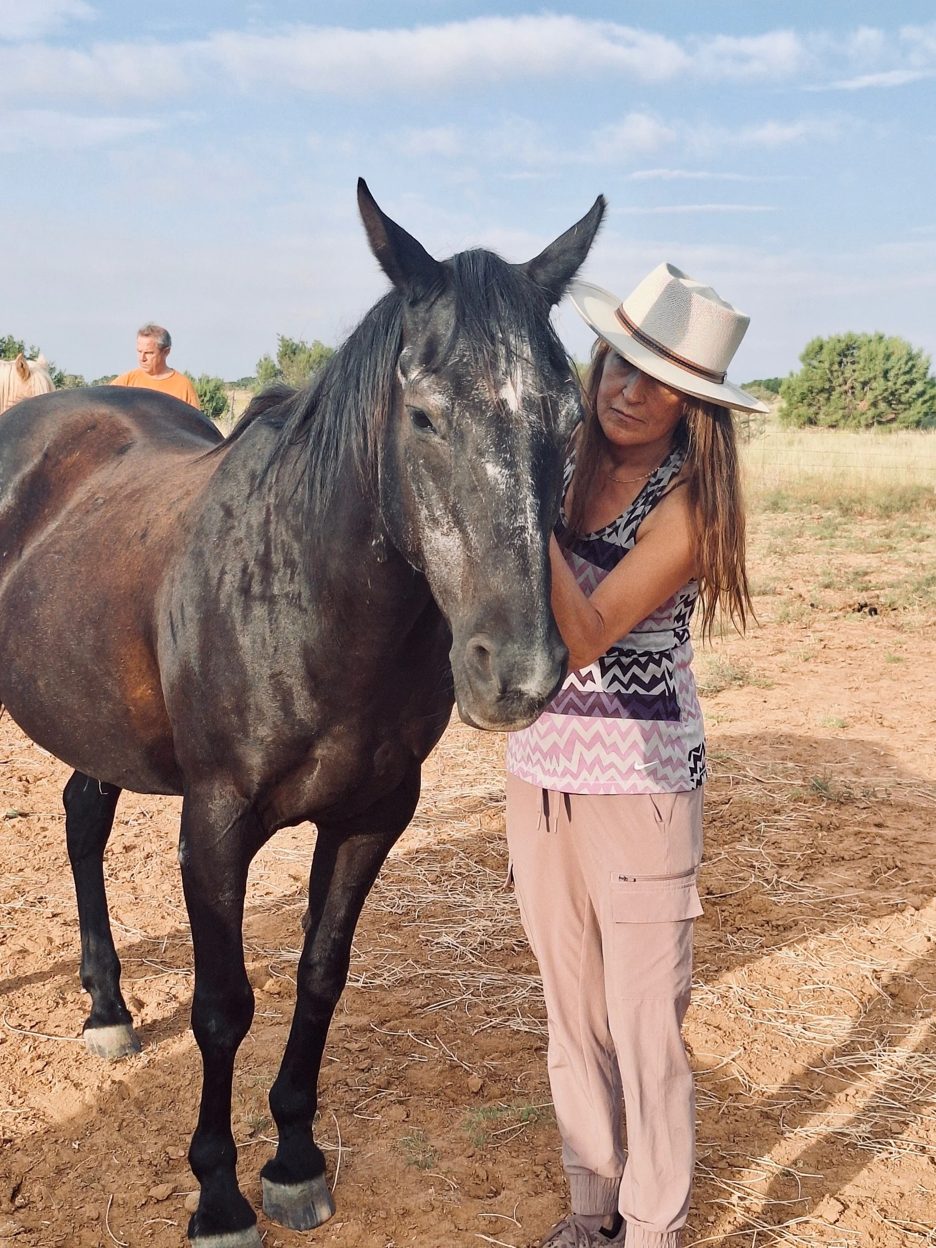 Horse Havens in Santa Fe