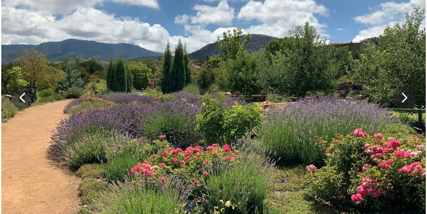Enchanted Gardens