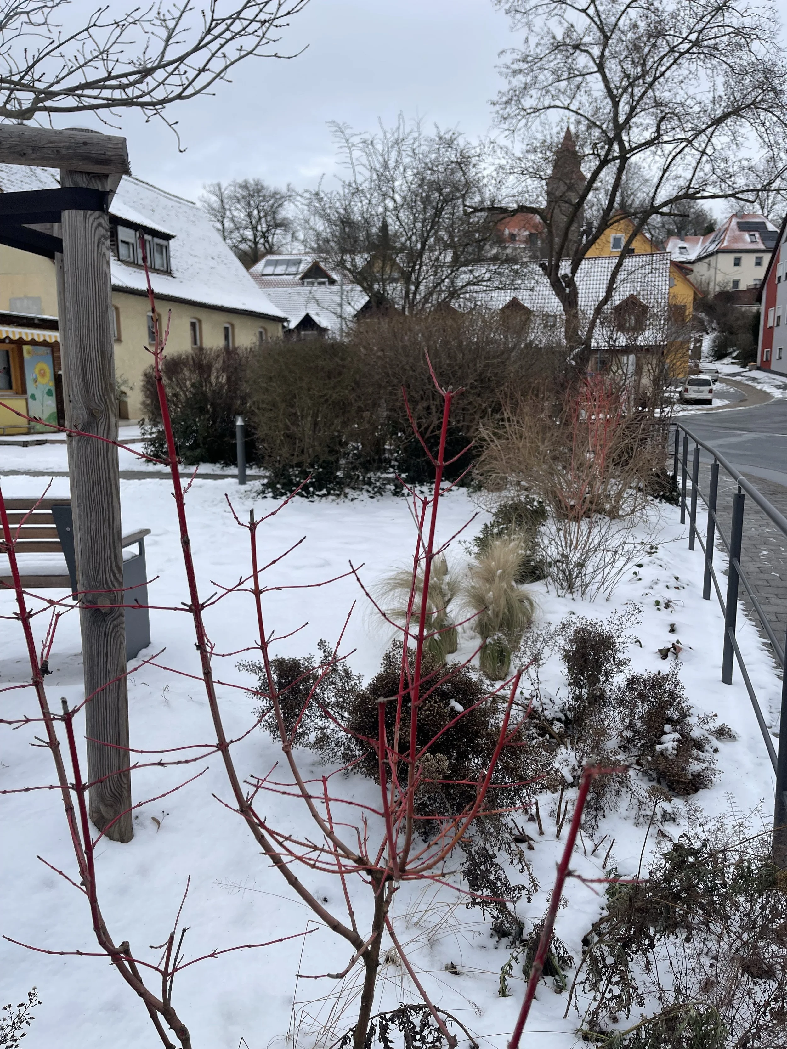 IMG_3262.jpeg