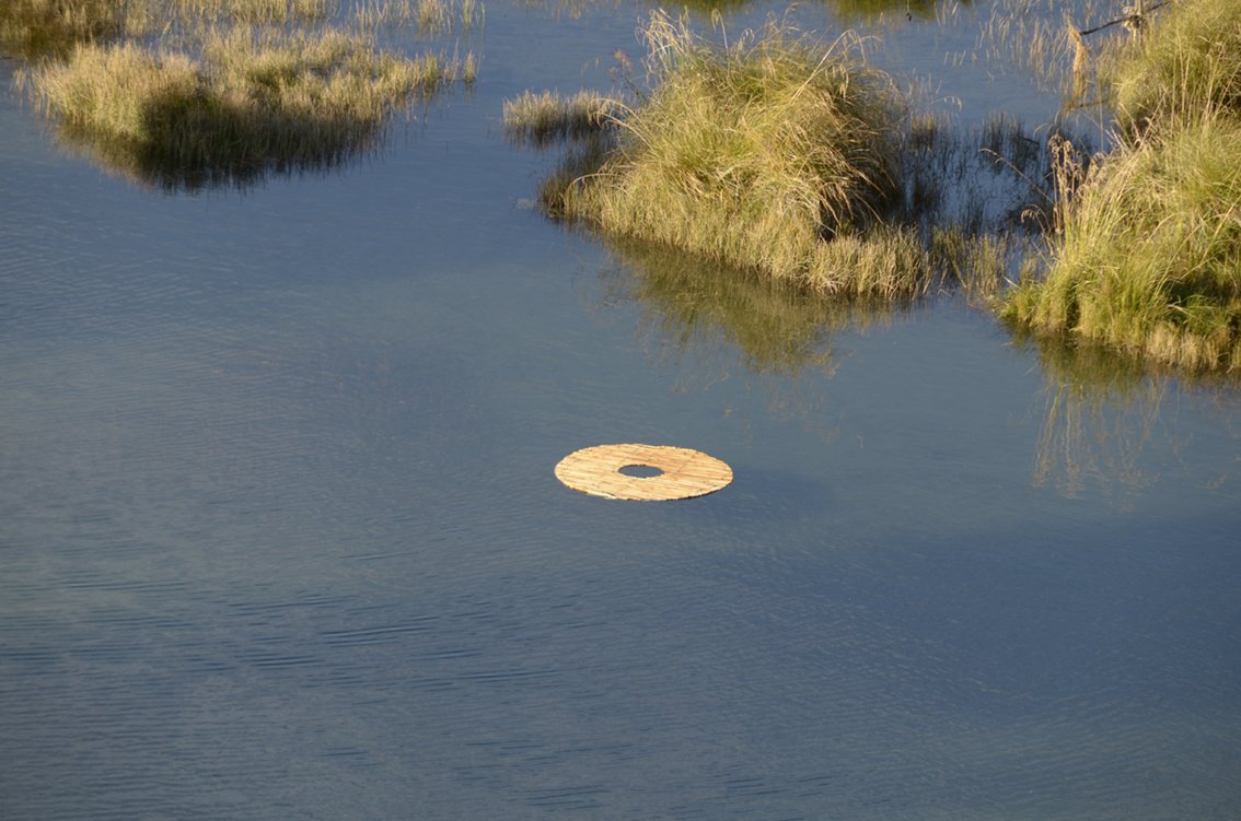 Wetland Cycle from above.jpg