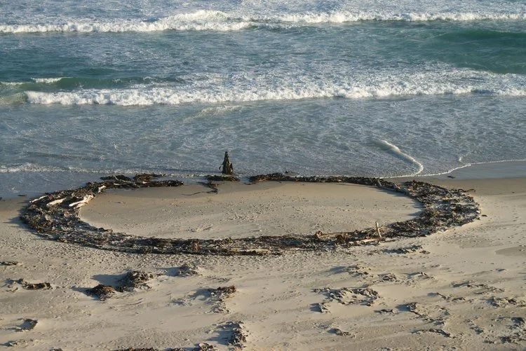 Wild Dunedin community sculpture event