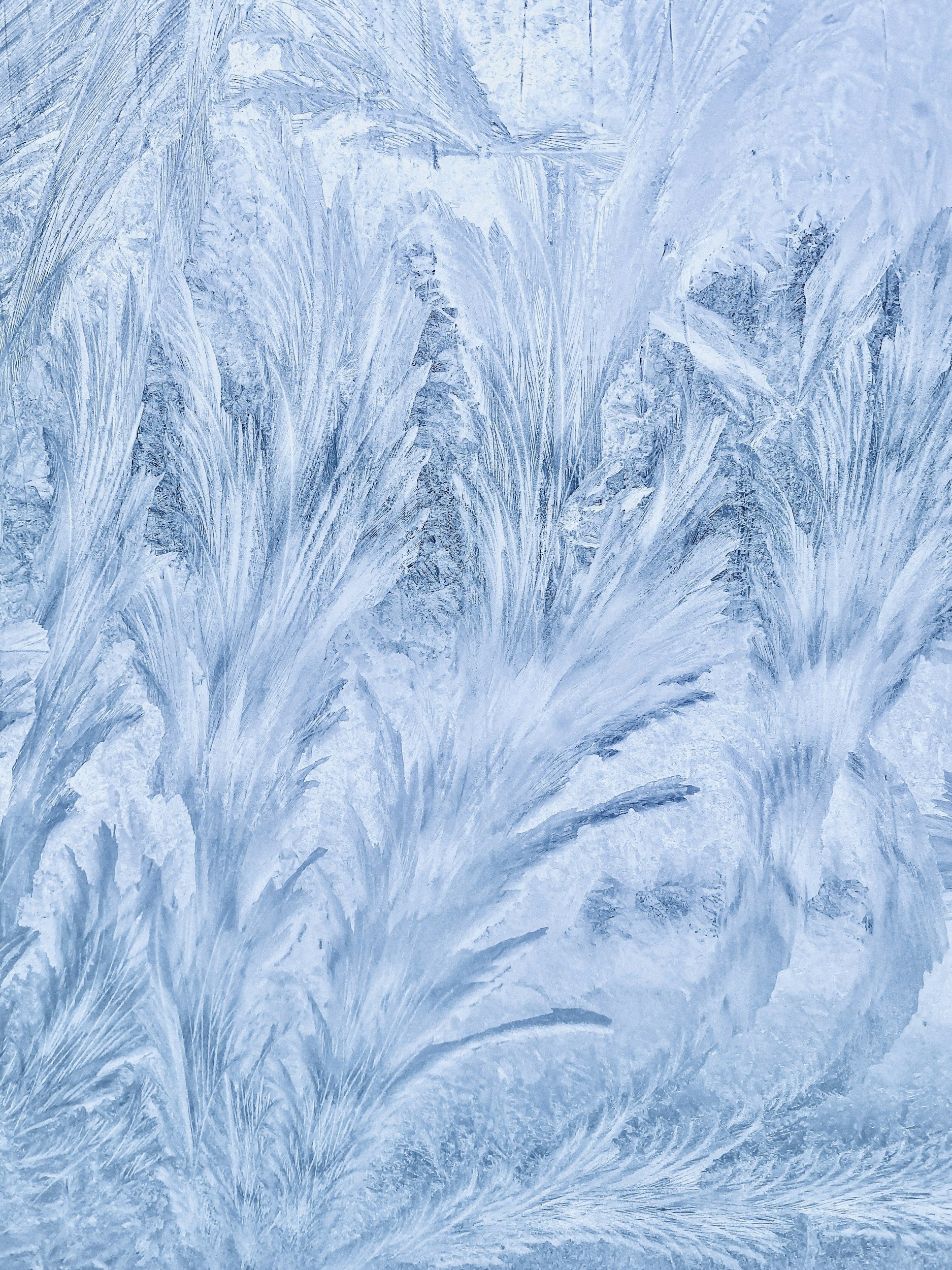 Baroque Festival at Central Chamber Series