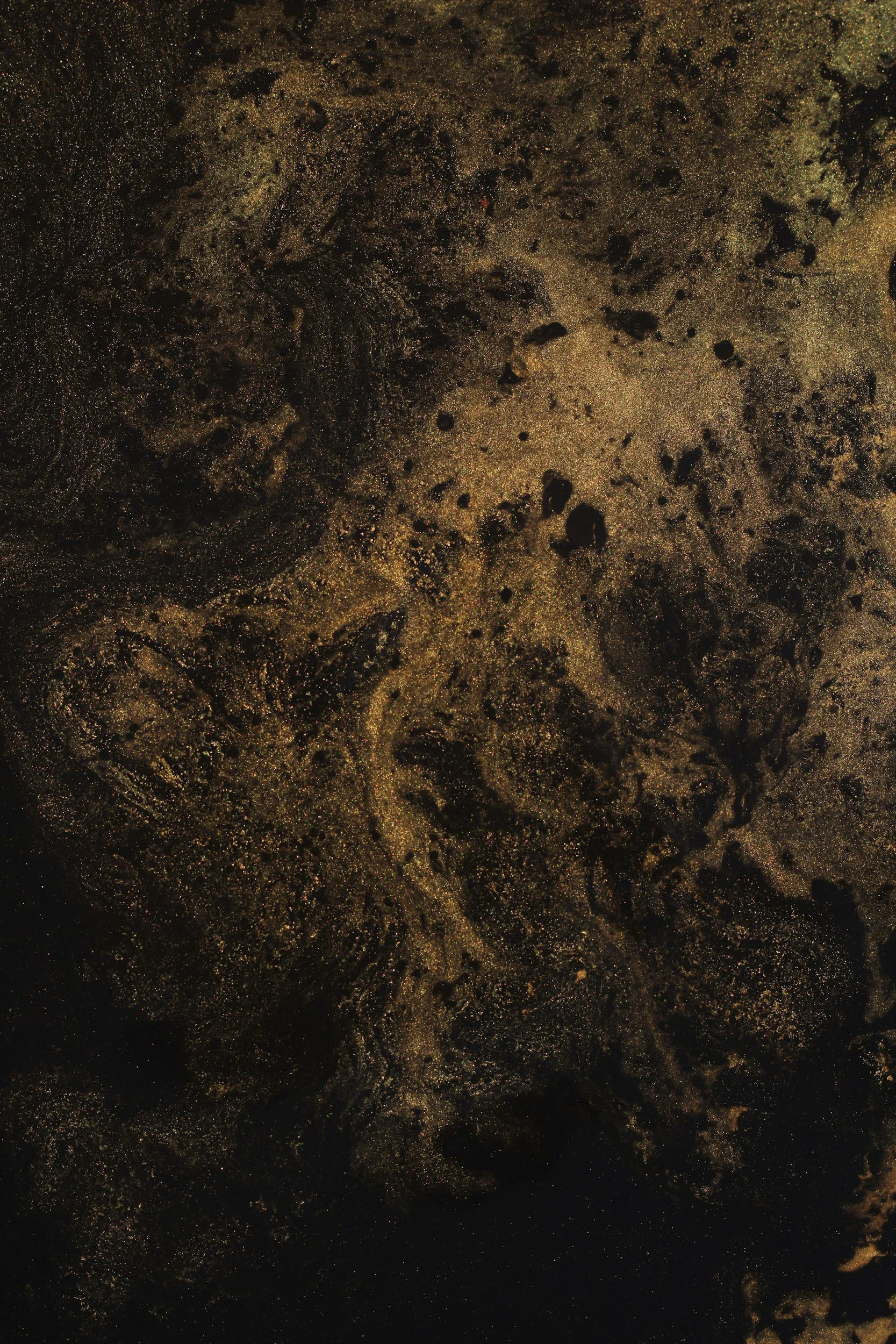 Orpheus &amp; Stella Chen 