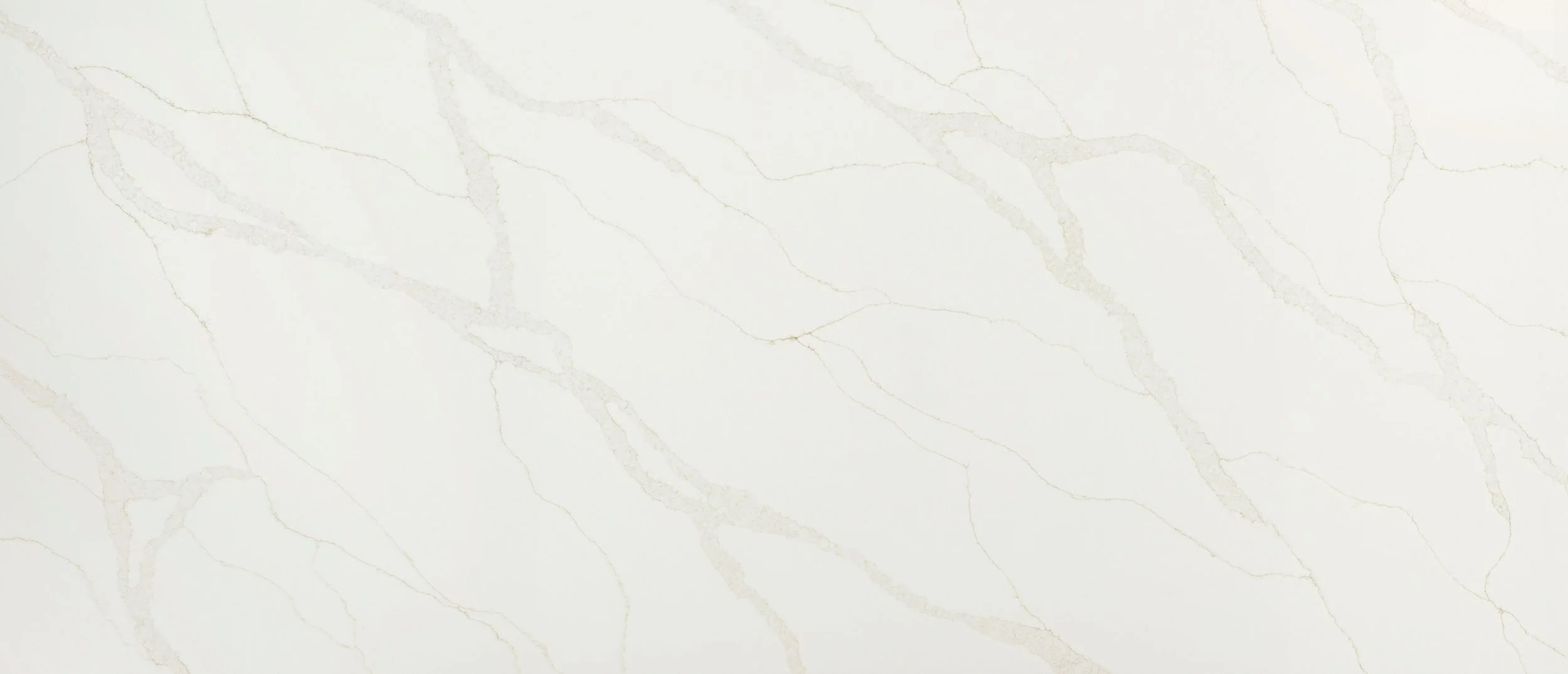 Calacatta Elysio (MSI)