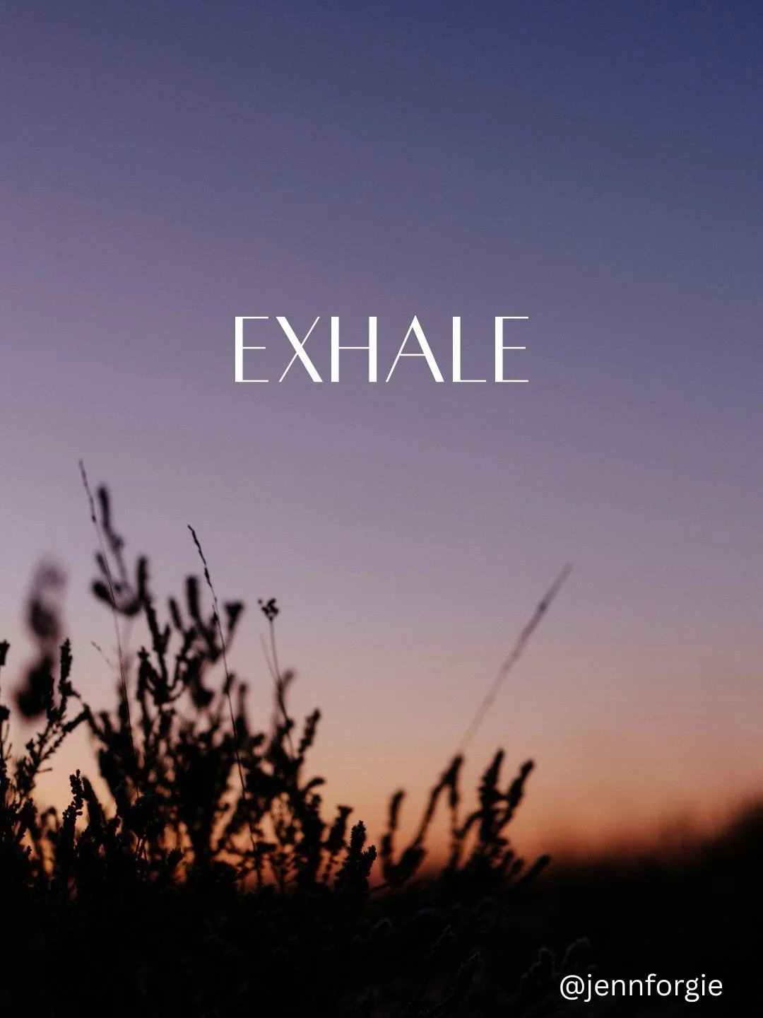It&rsquo;s simple. 

An invitation to take a break from all the noise (internal and external), pick up and pen and write together. 

I can share all the science, the psychology and empirical data to speak to how good this is for your mental, physical