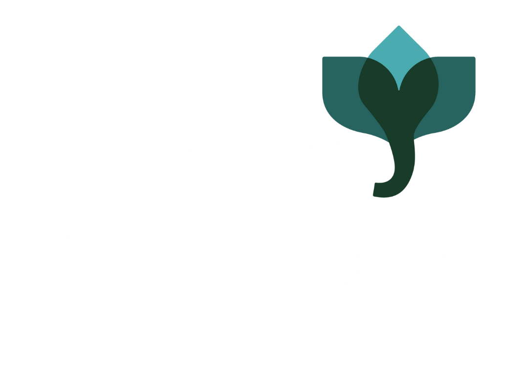 Jenn Forgie Coaching