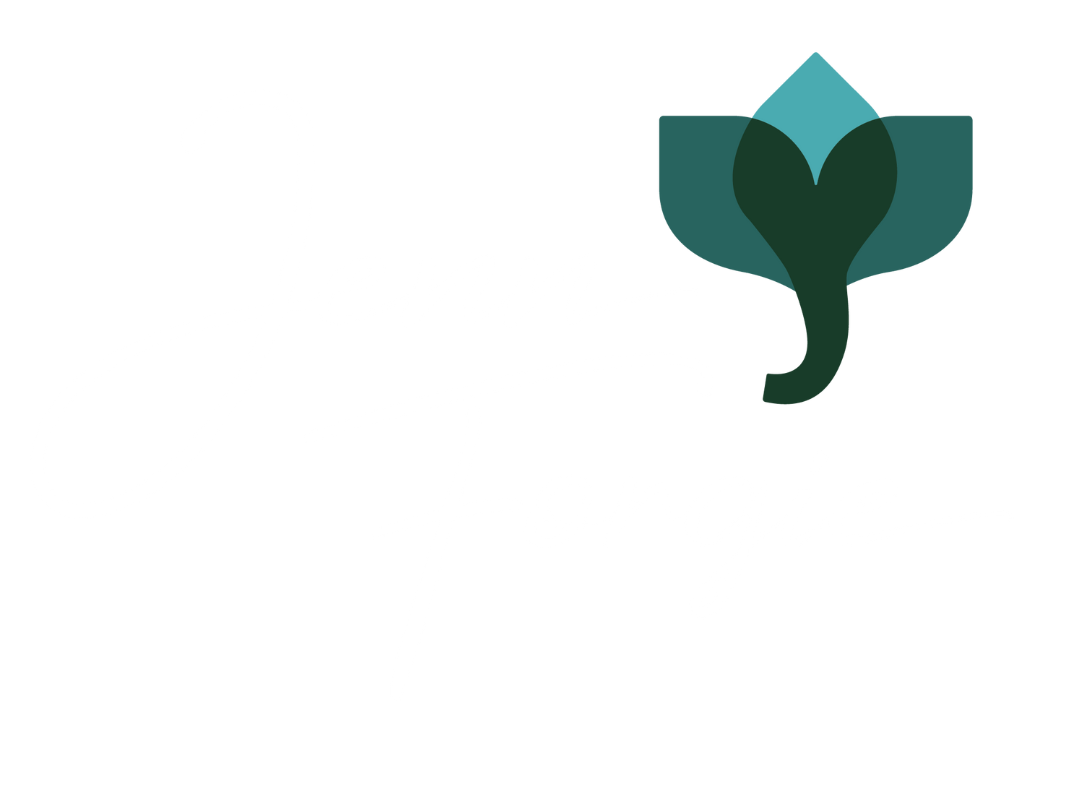 Jenn Forgie Creative