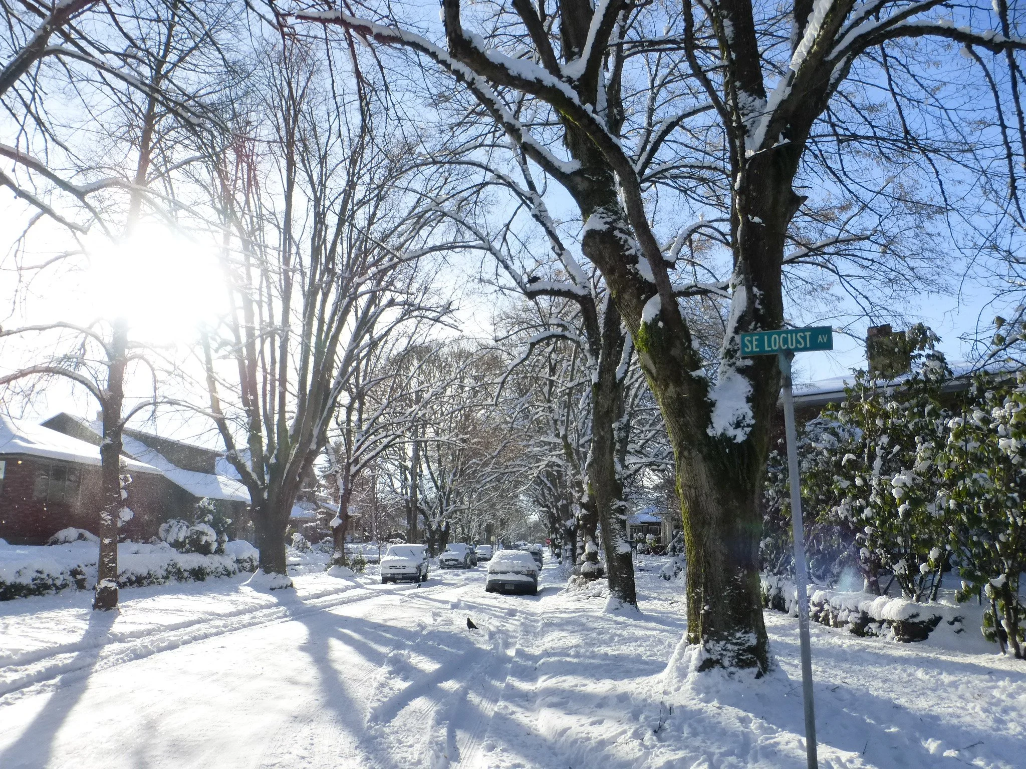 Ladd’s Addition tree planting
