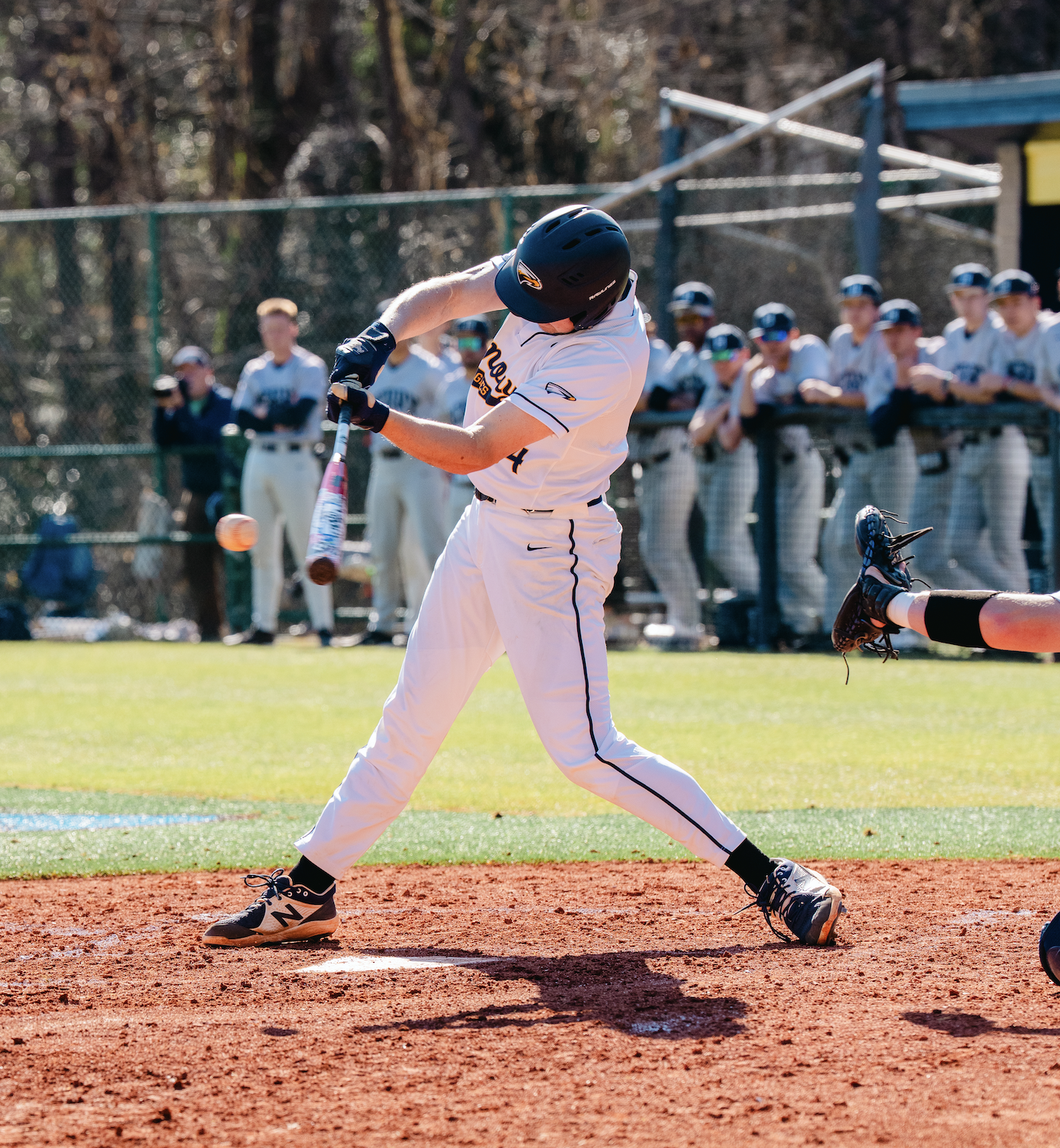 Screenshot 2026-02-17 at 7.48.41 PM.png