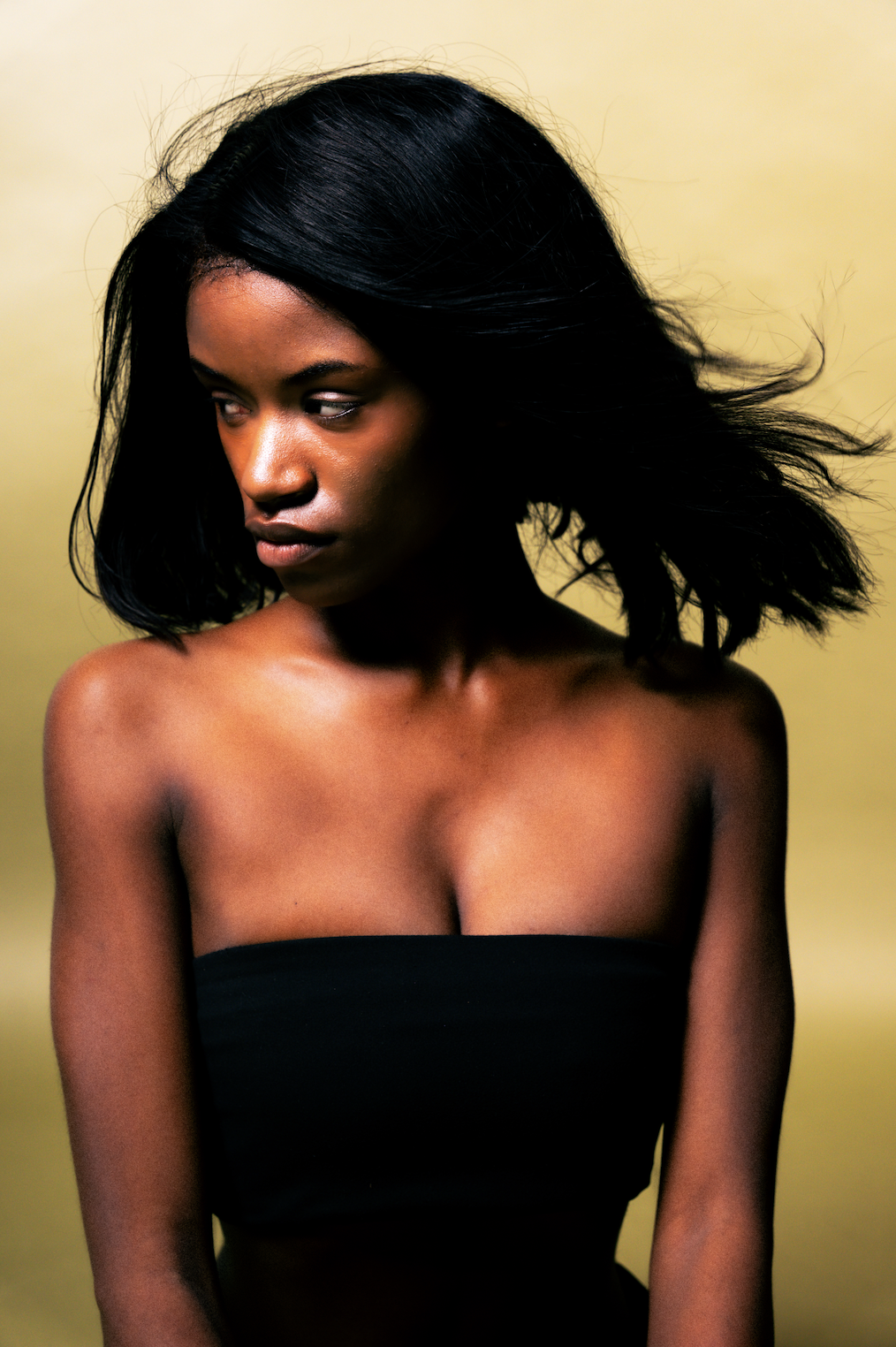 Screenshot 2026-03-01 at 11.21.20 AM.png