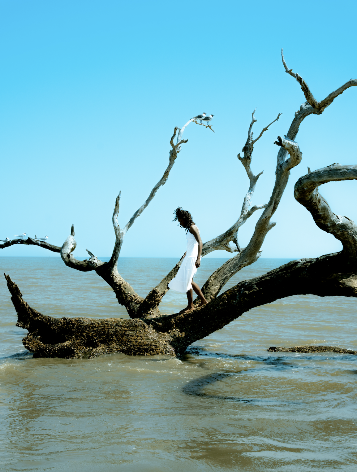 Screenshot 2026-03-30 at 11.49.08 AM.png