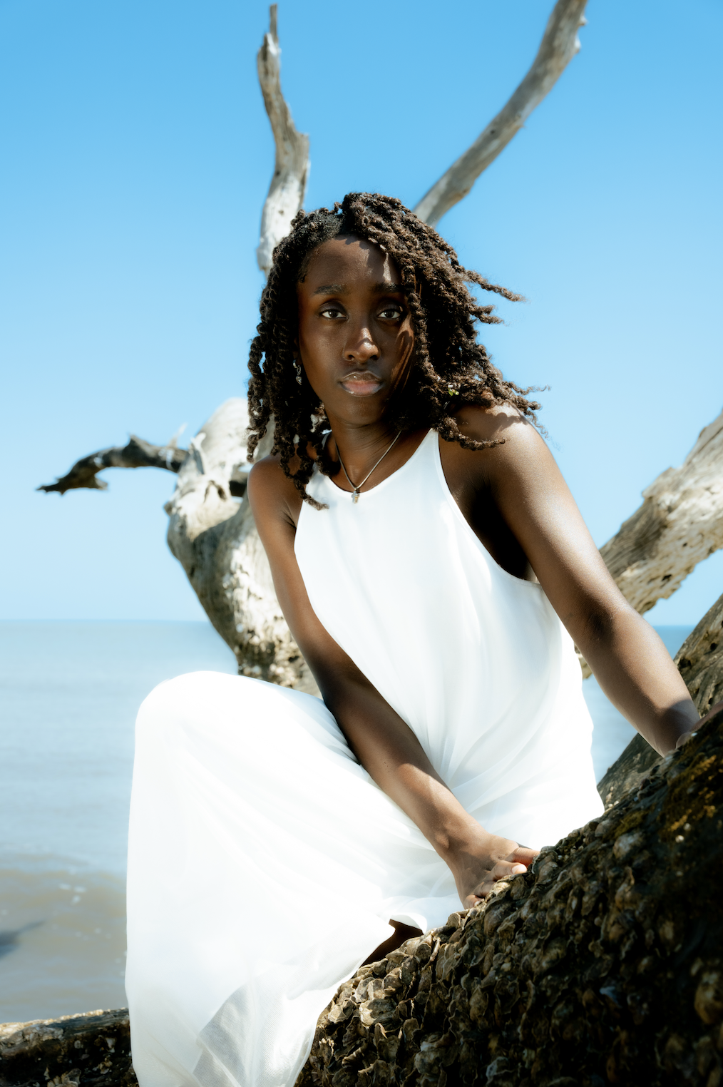 Screenshot 2026-03-30 at 11.49.32 AM.png