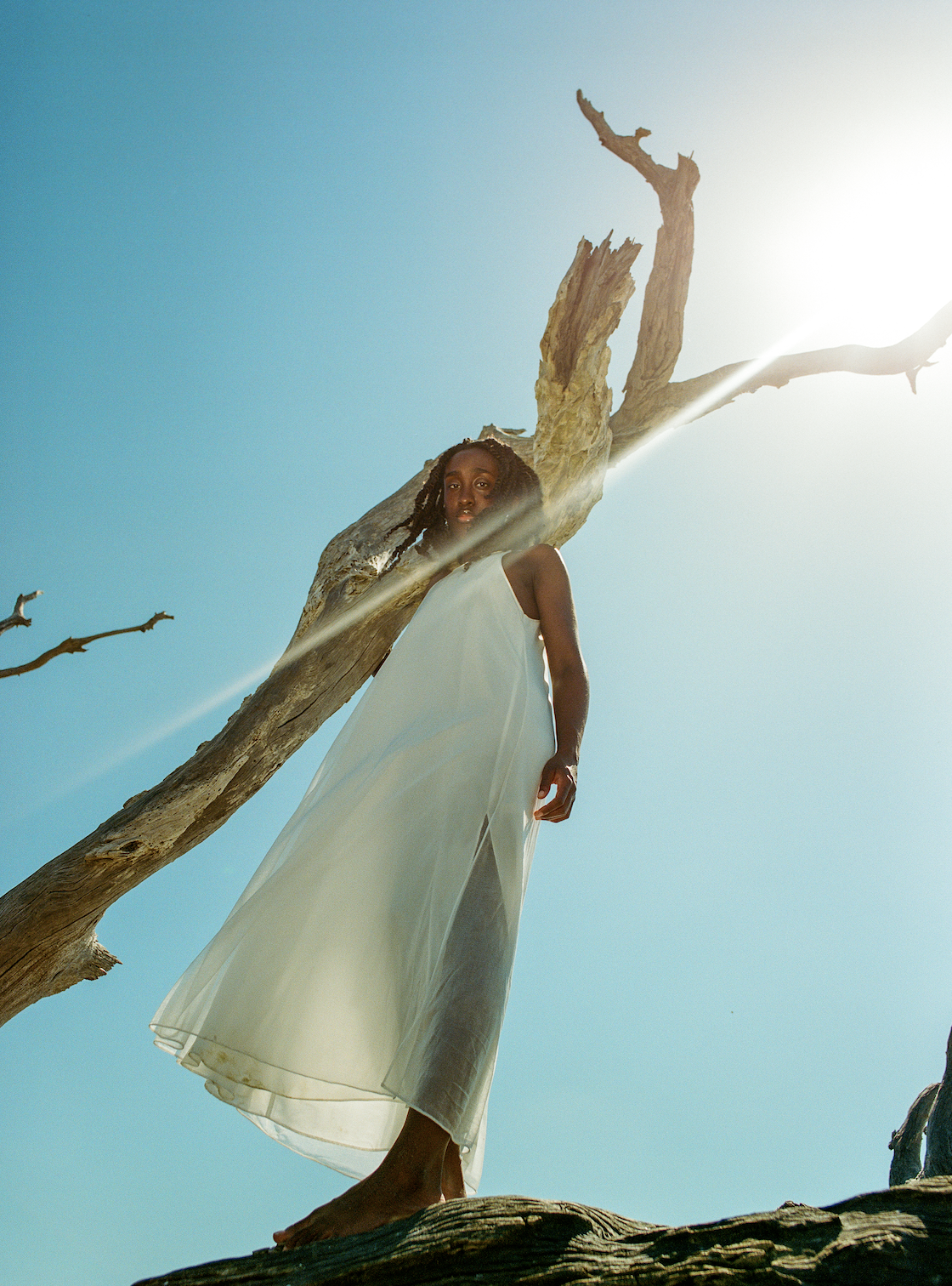 Screenshot 2026-03-30 at 11.57.18 AM.png