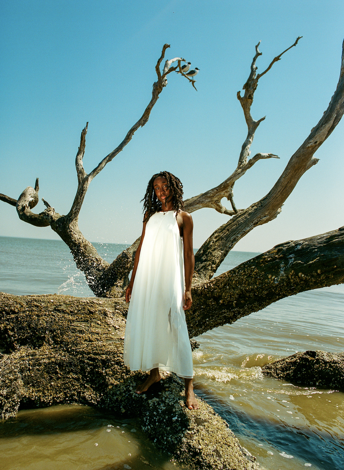 Screenshot 2026-03-30 at 11.57.34 AM.png