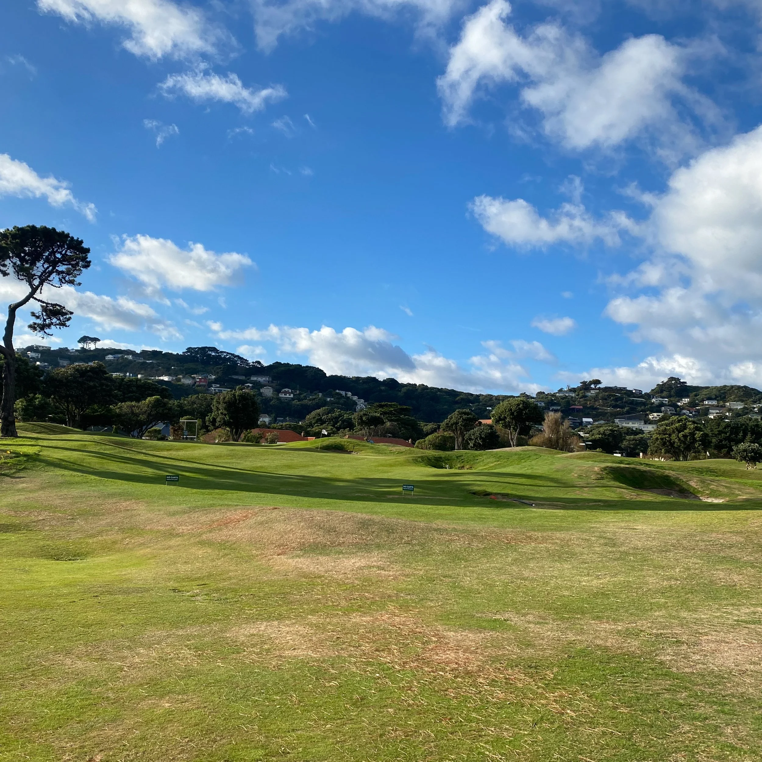 Miramar Links Golf Course Regeneration — BPM Ltd