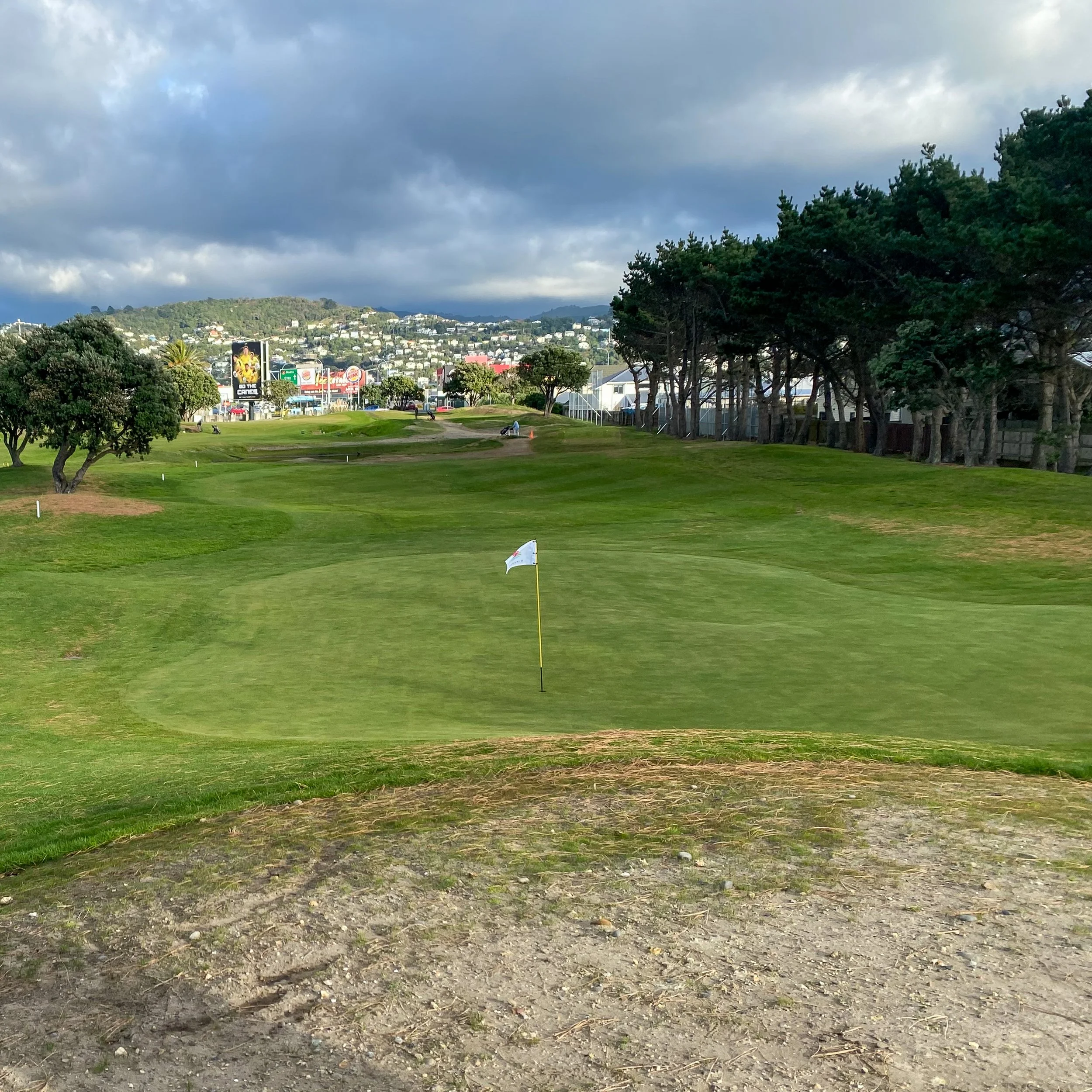 Miramar Links Golf Course Regeneration — BPM Ltd
