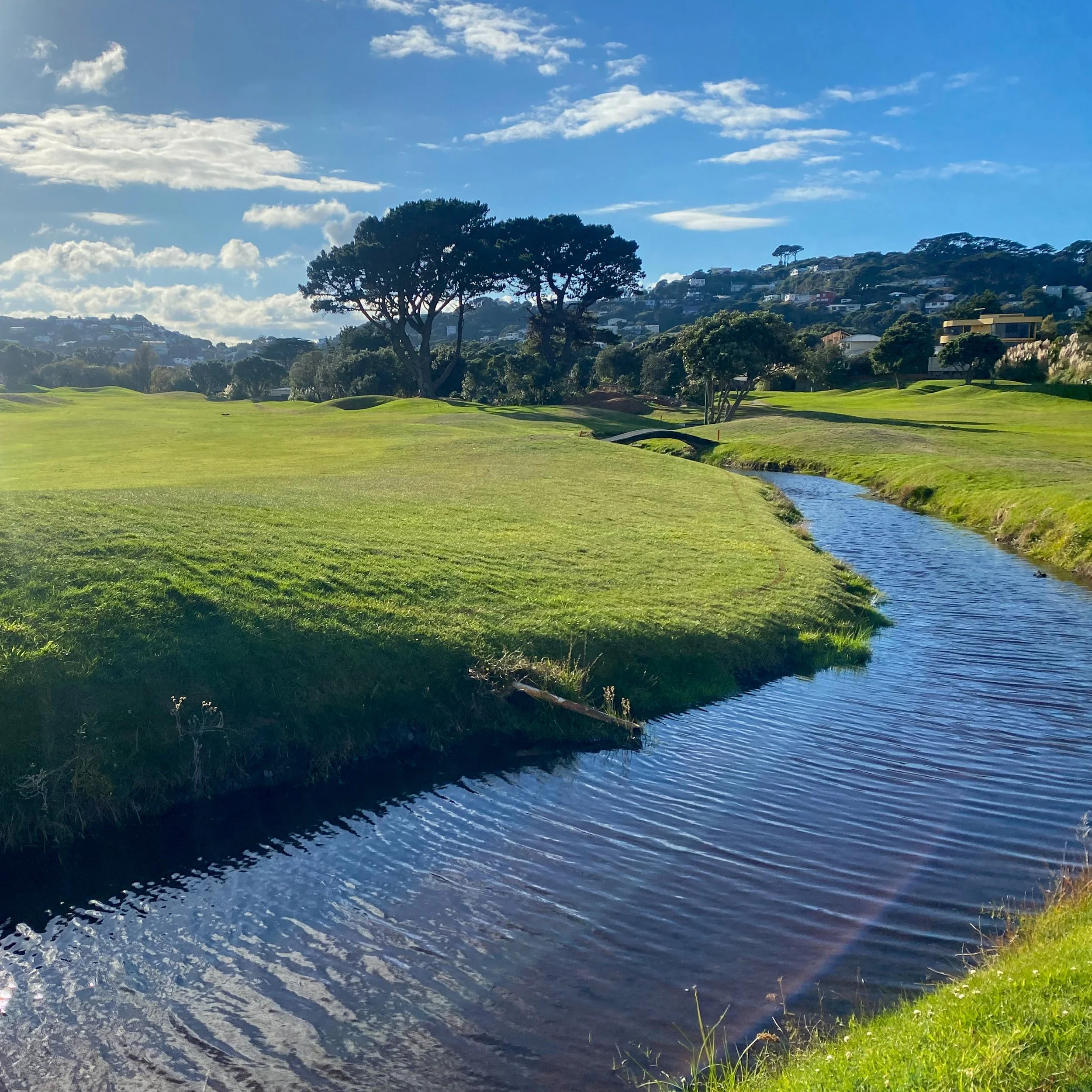 Miramar Links Miramar Golf Club & Course Regeneration — BPM Ltd