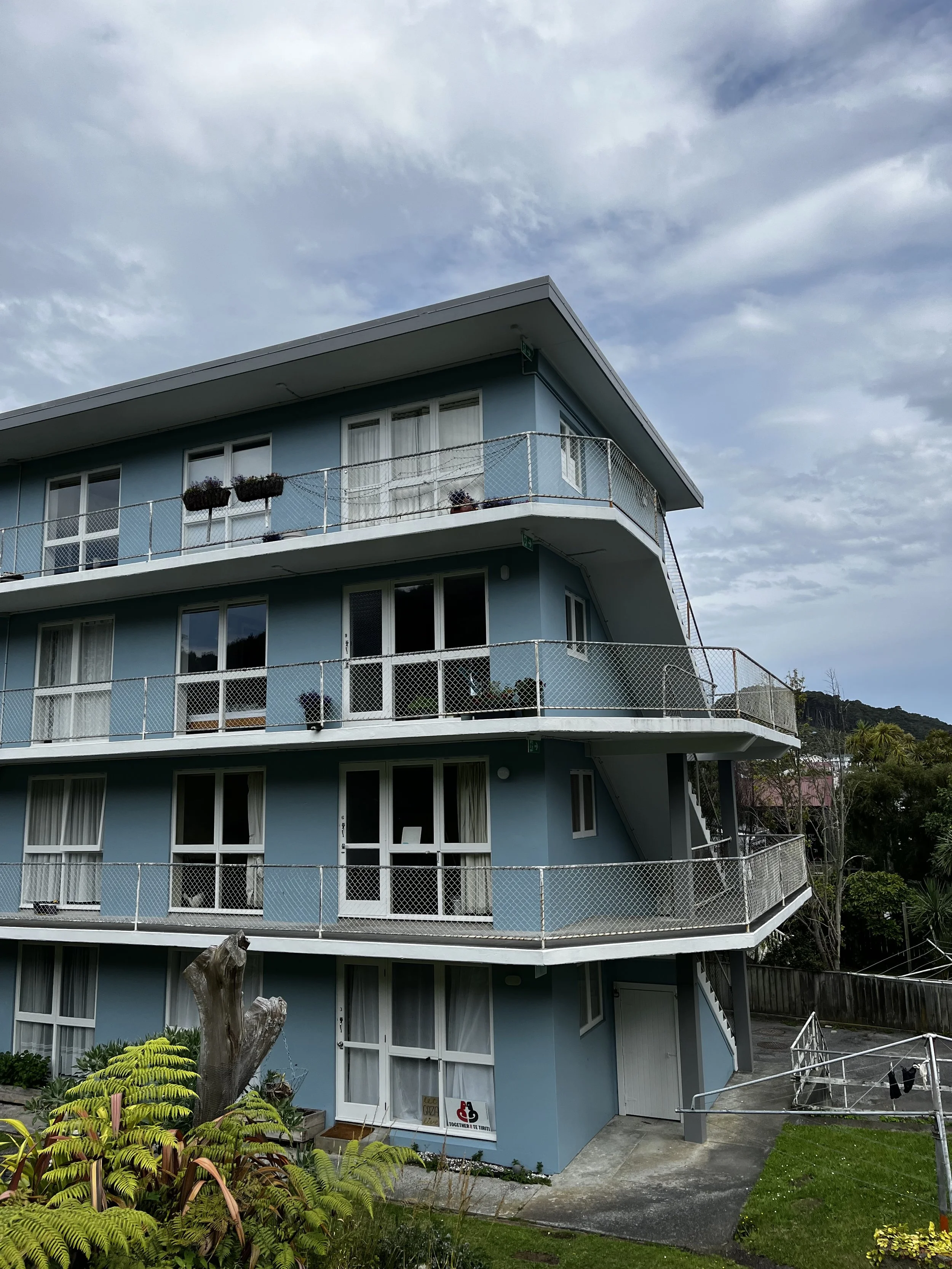 BPM's finished Blucher Avenue Wellington after Earthquake Strengthening Residential Unit.jpeg