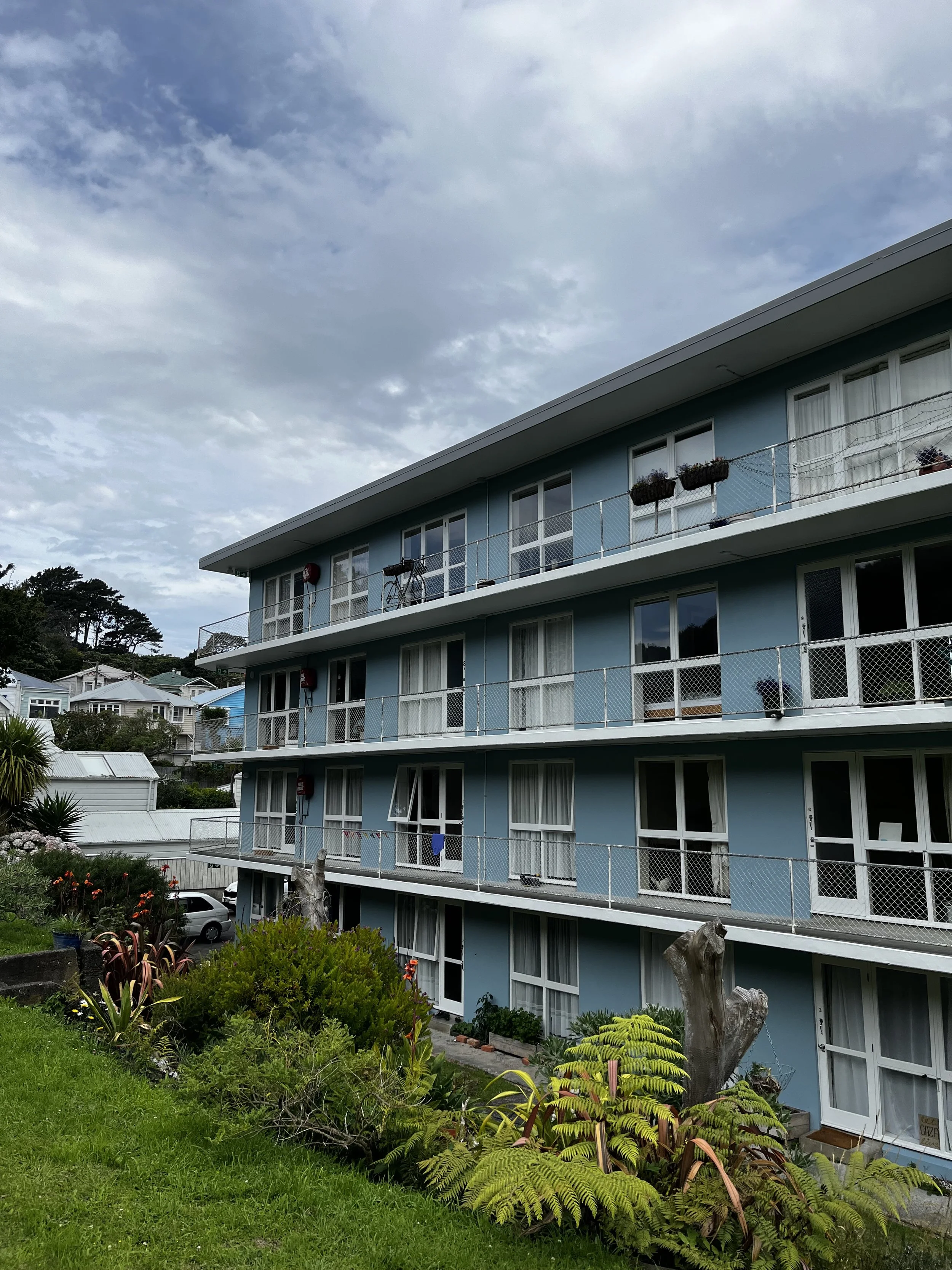 Side view of finished Blucher Avenue Wellington after Earthquake Strengthening by BPM Ltd.jpeg