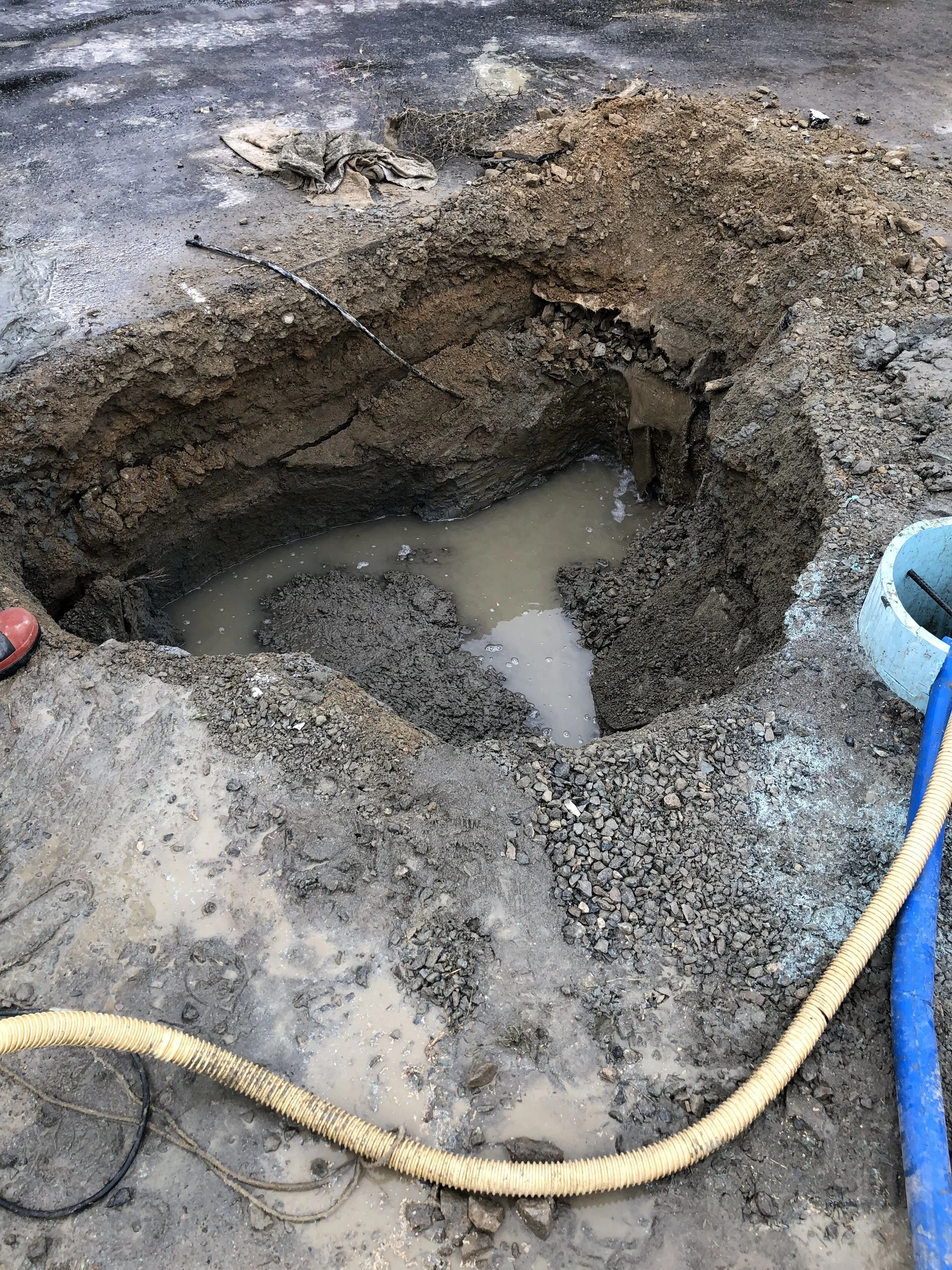 Photo 5-04-22, 3 09 08 PM.jpg