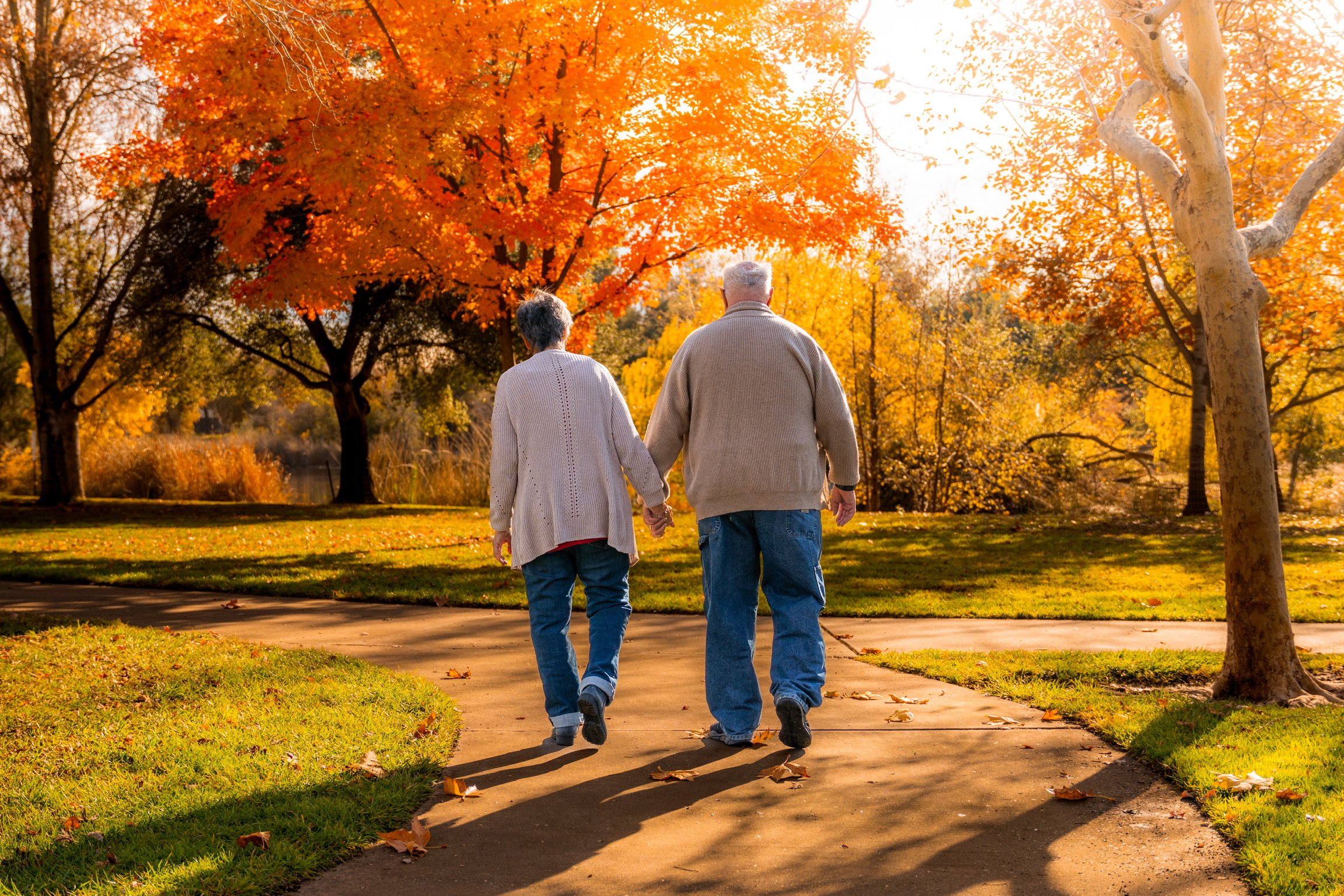 Photo Dec 06 2022, 2 28 13 PM.jpg