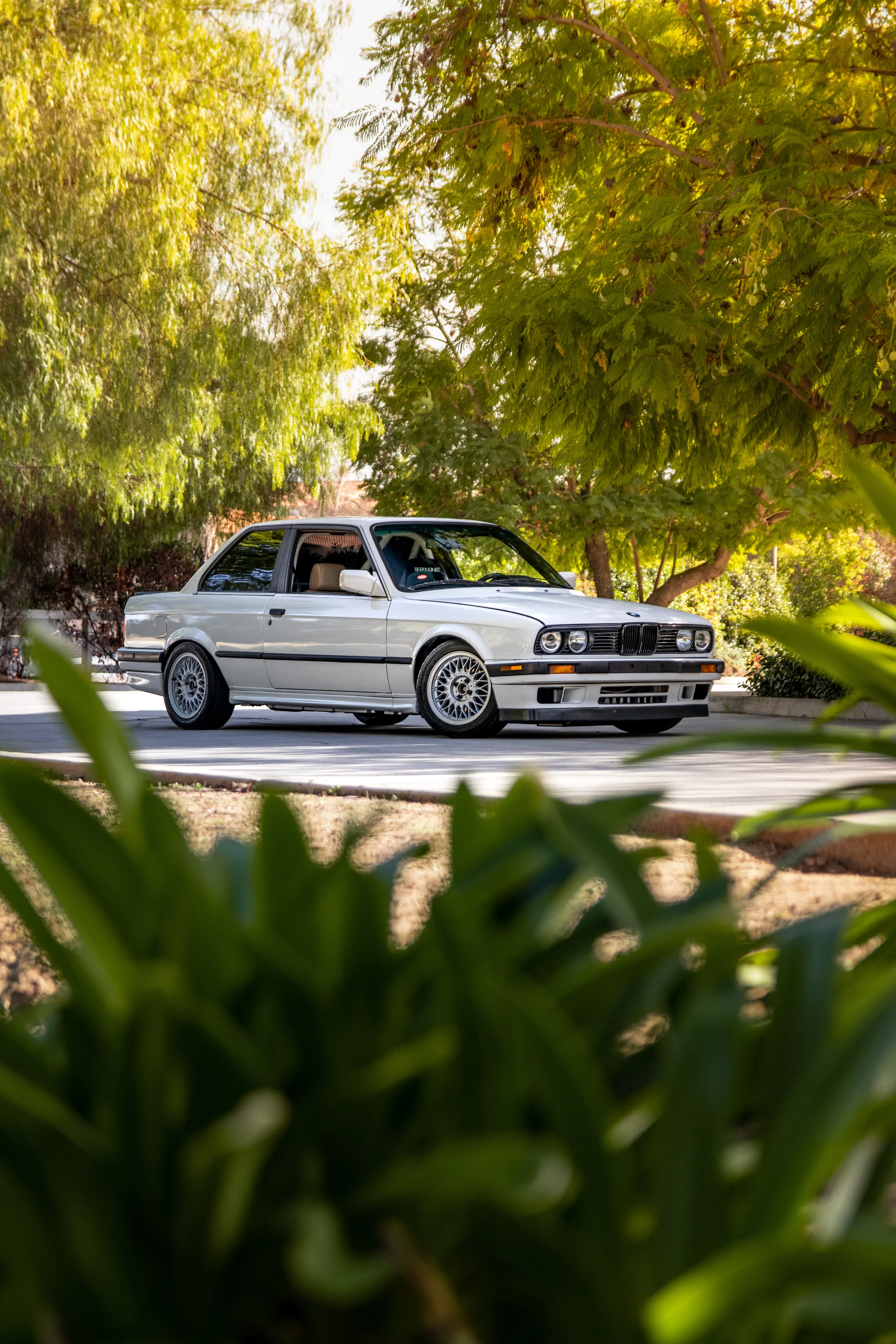 Photo Feb 14, 2 21 58 PM.jpg