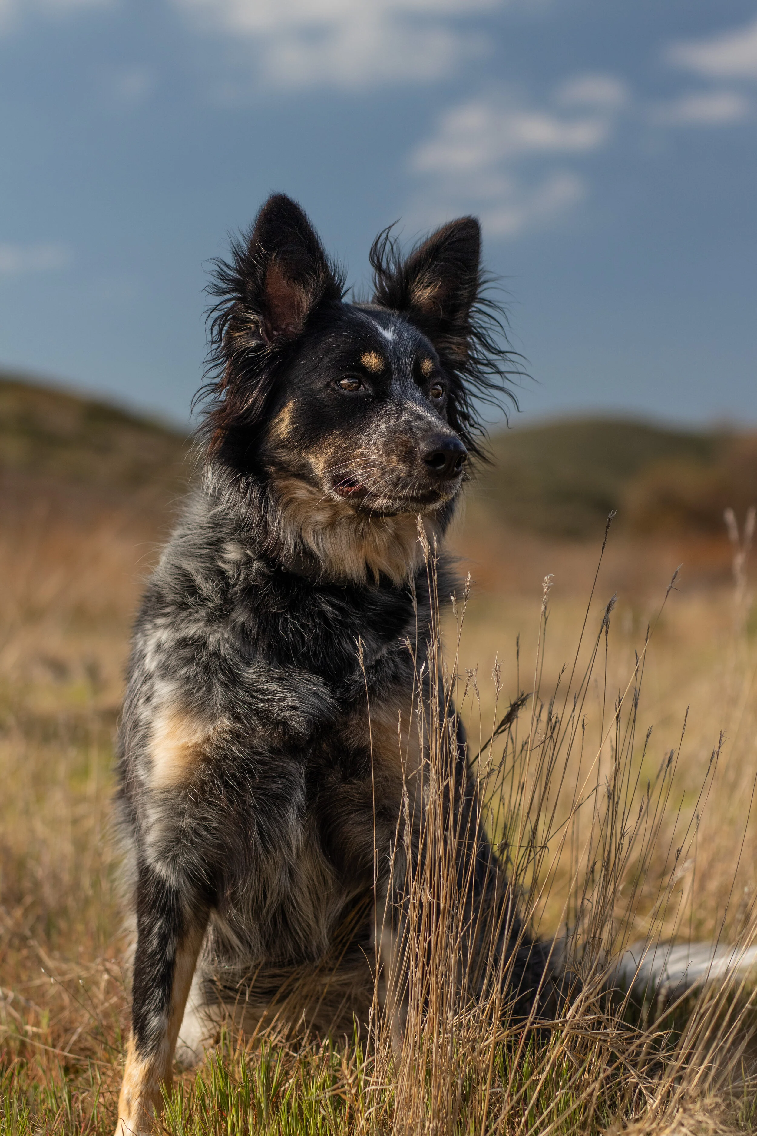 Photo Feb 23, 3 06 34 PM.jpg