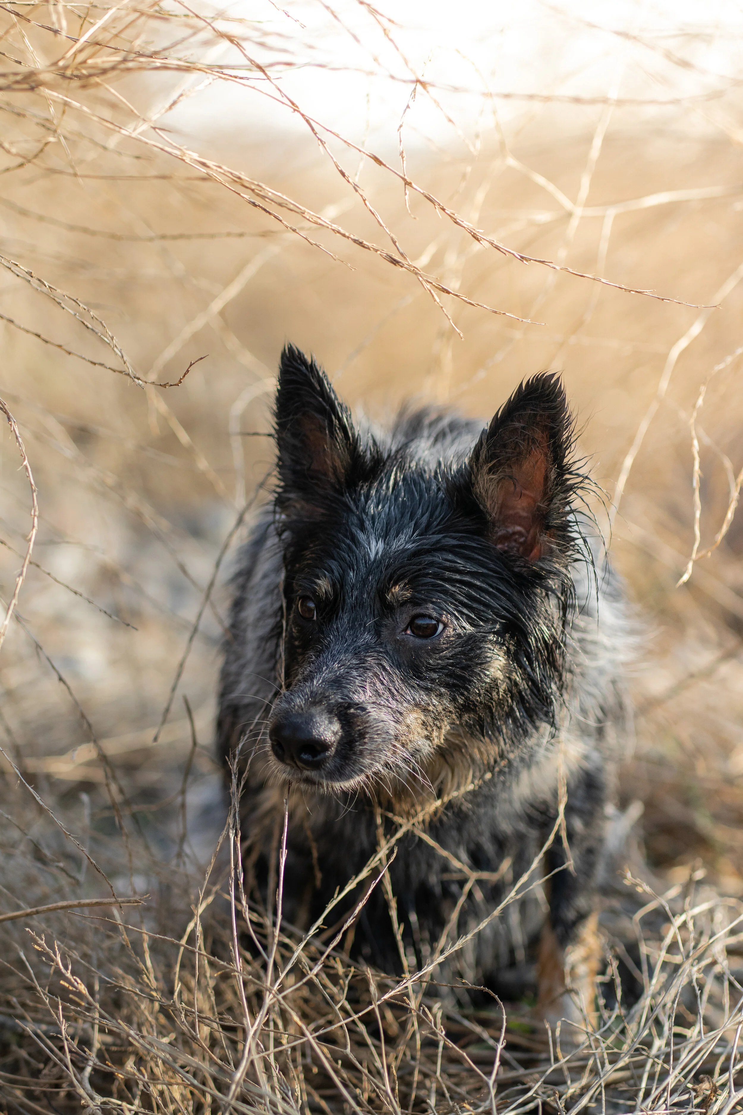 Photo Feb 23, 3 38 49 PM.jpg