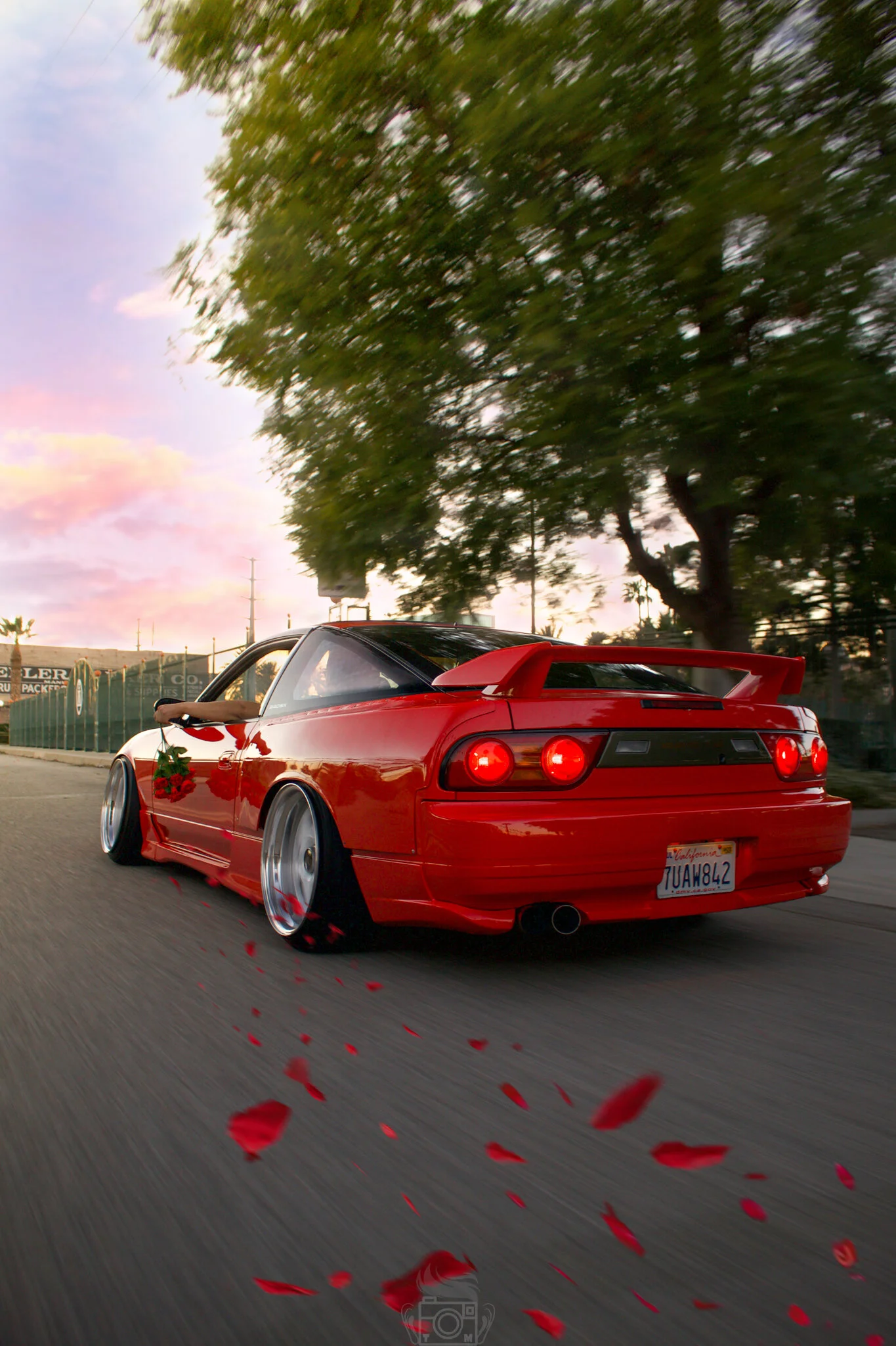 Photo Feb 12, 6 34 33 PM.jpg