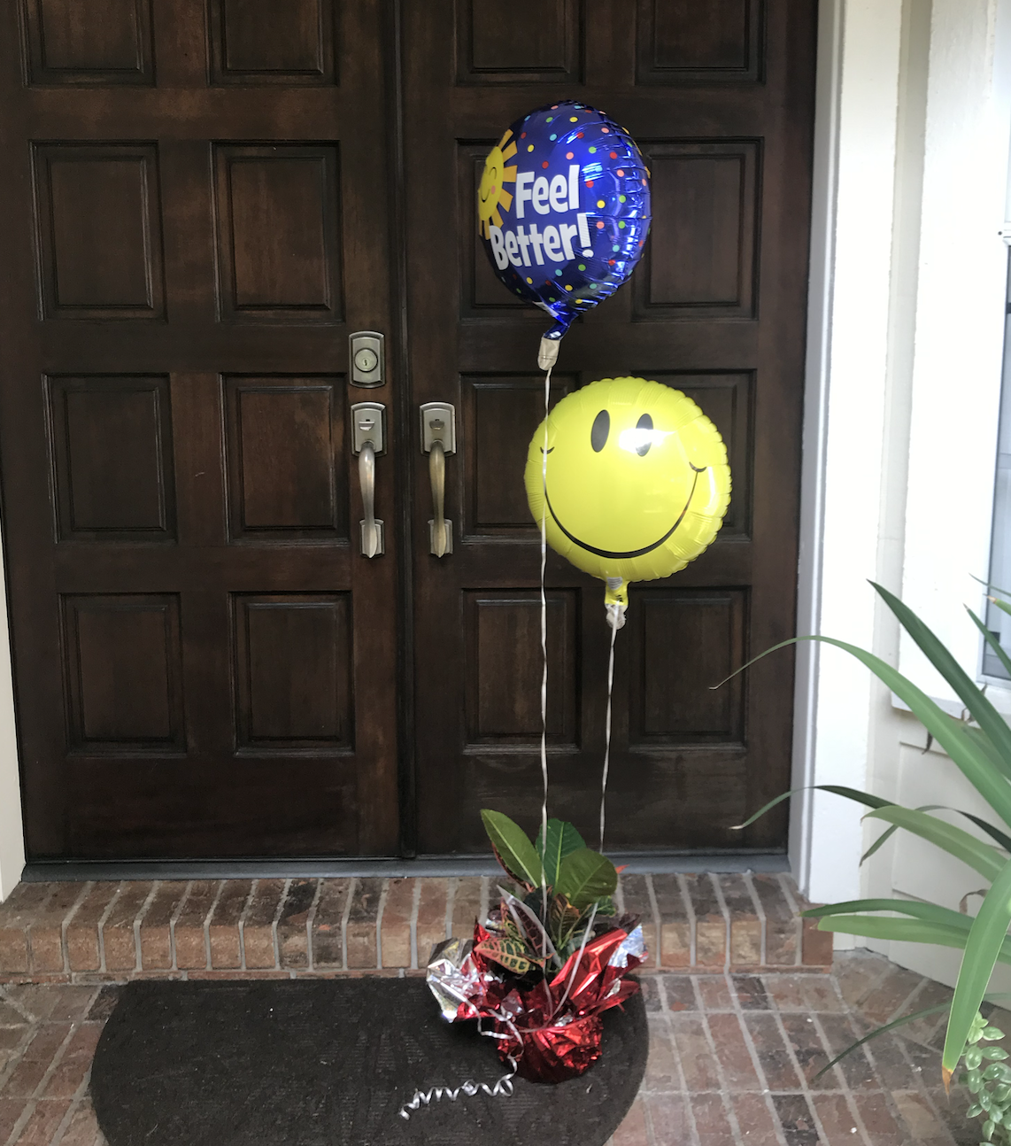 Arrangement of two balloons, one with a smiley face and the other with a sun and the words 'Feel Better!', attached to a plant in a pot wrapped in red foil, placed at a door entrance.