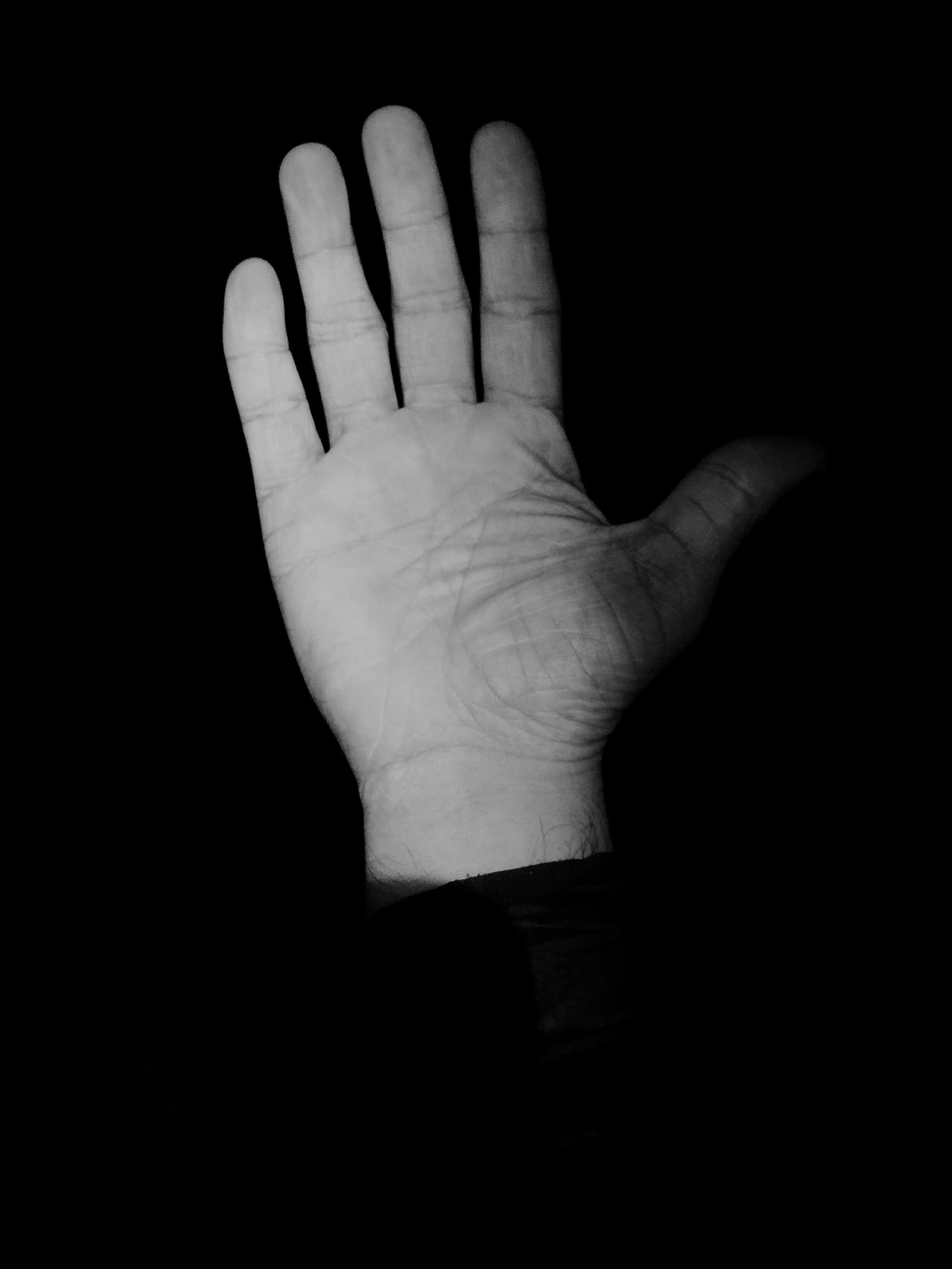 8E98FAB6-CAE1-4A6E-AA86-1A54231941F1-black.JPG