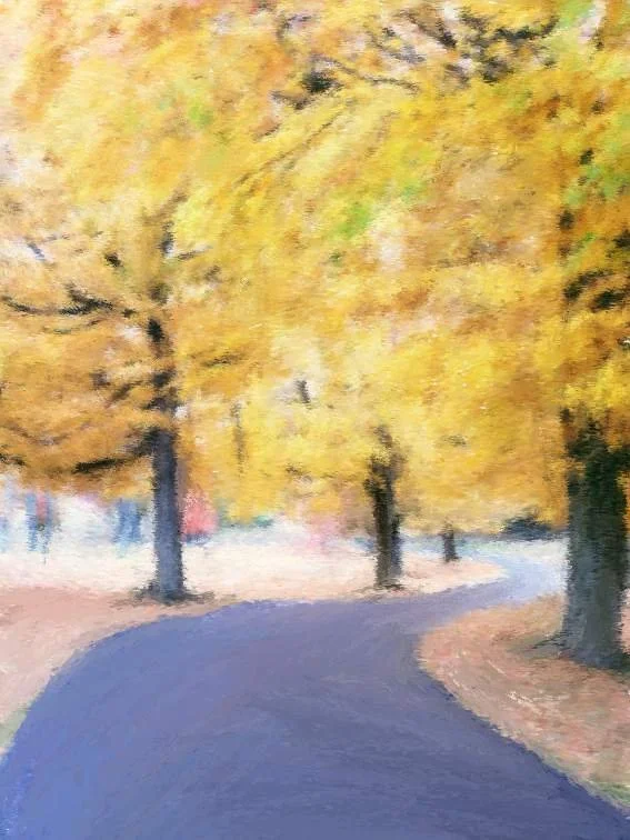 Ohio Fall / 2022
