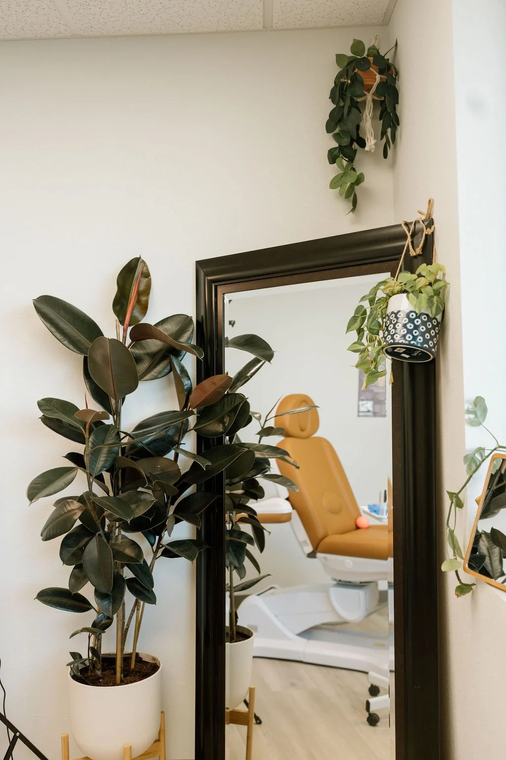 Clean, professional medical spa treatment room with neutral tones at Alpine Aesthetics and Wellness in Reno