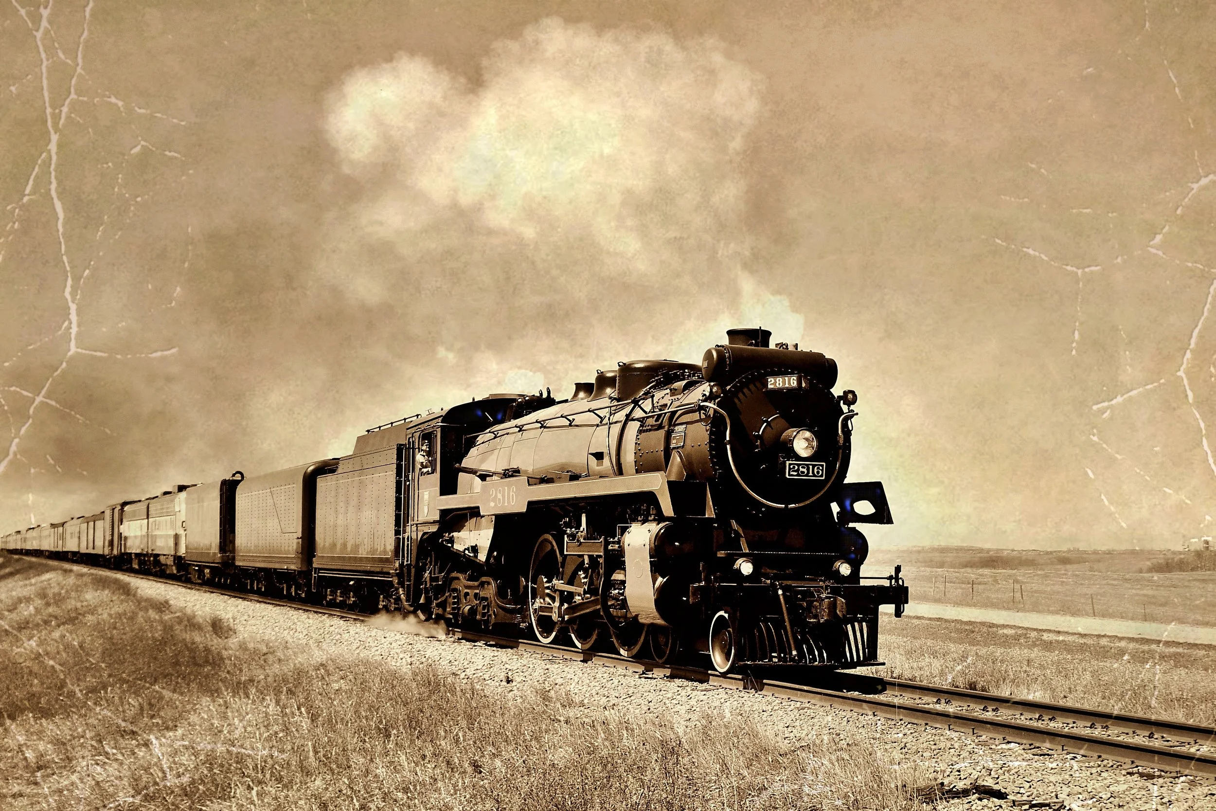 Engine 2816 - Melina Shepley