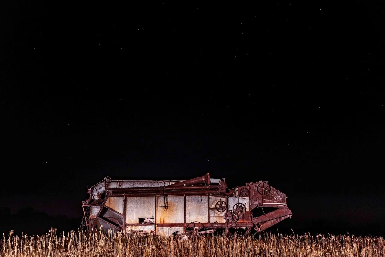 Keith Young - Sleeping Sentinel
