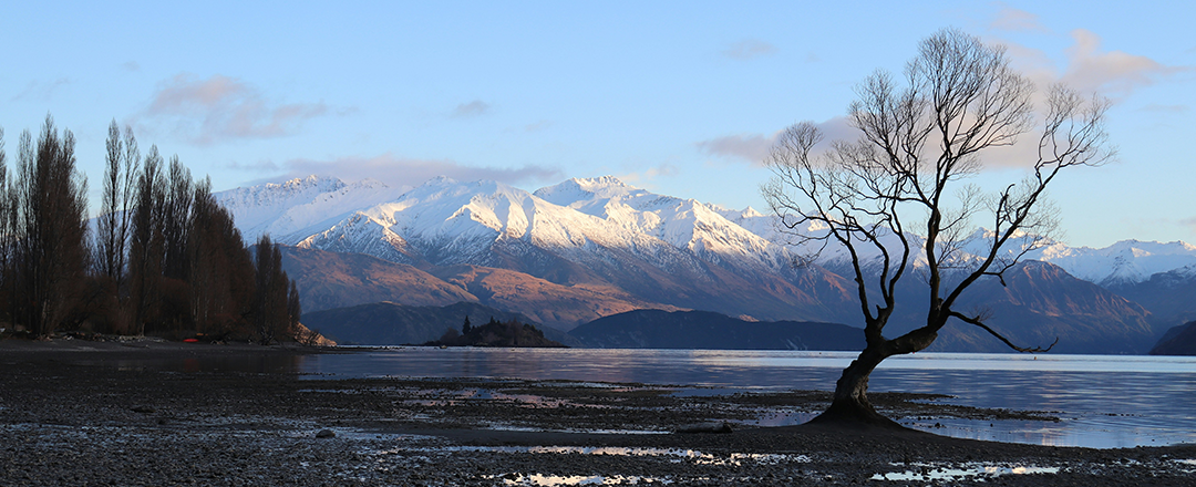 Energy Stress? Feeling the Pressure already of what winter might bring?