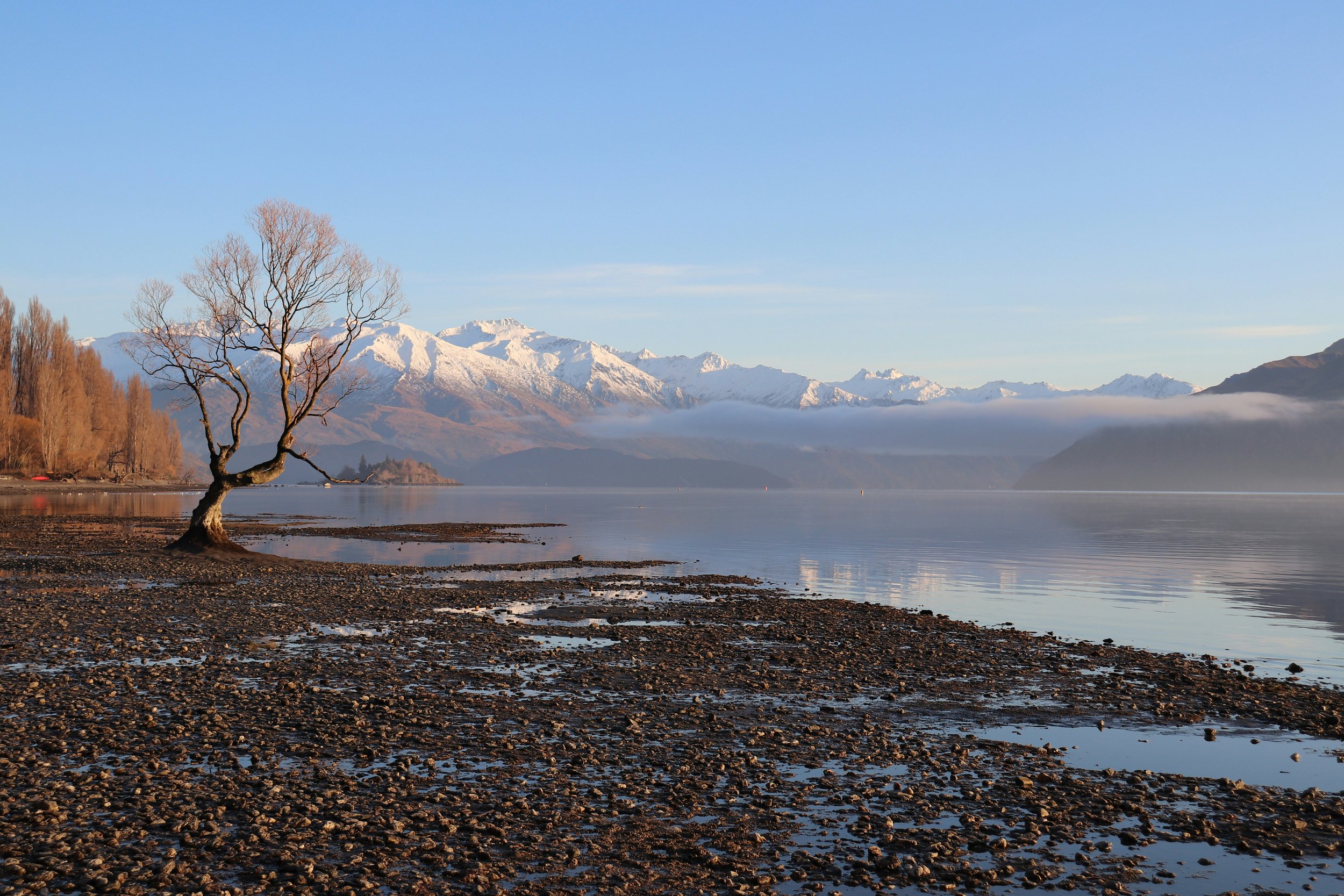 Wanaka Business Chamber: Business After Five