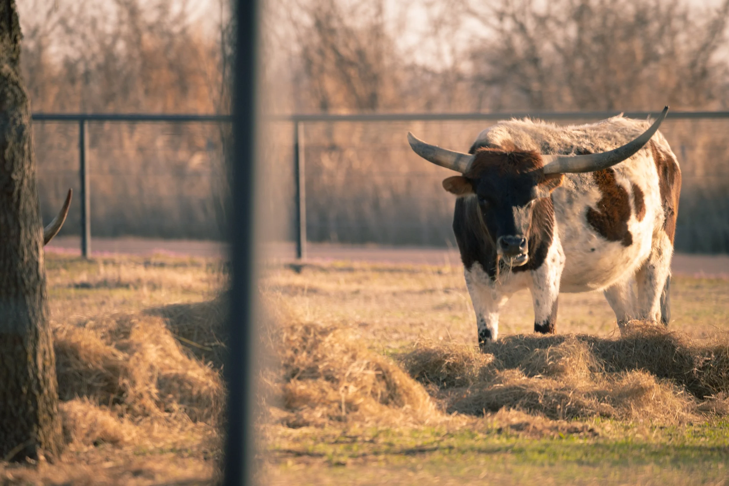 Mid South Main Event-28.jpg