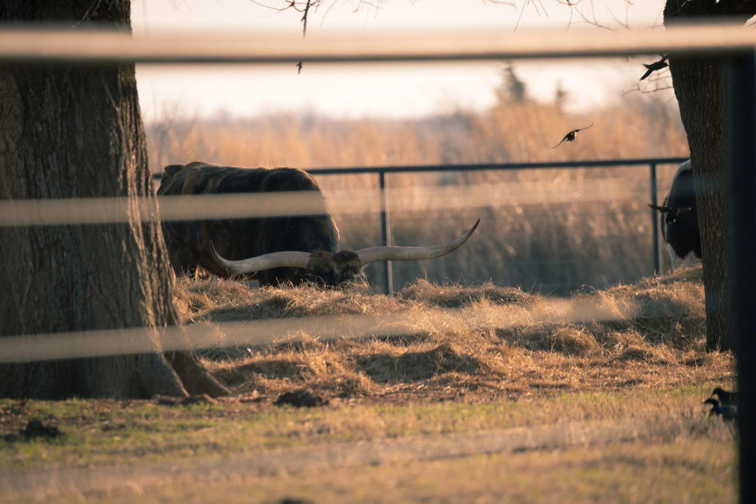 Mid South Main Event-27.jpg