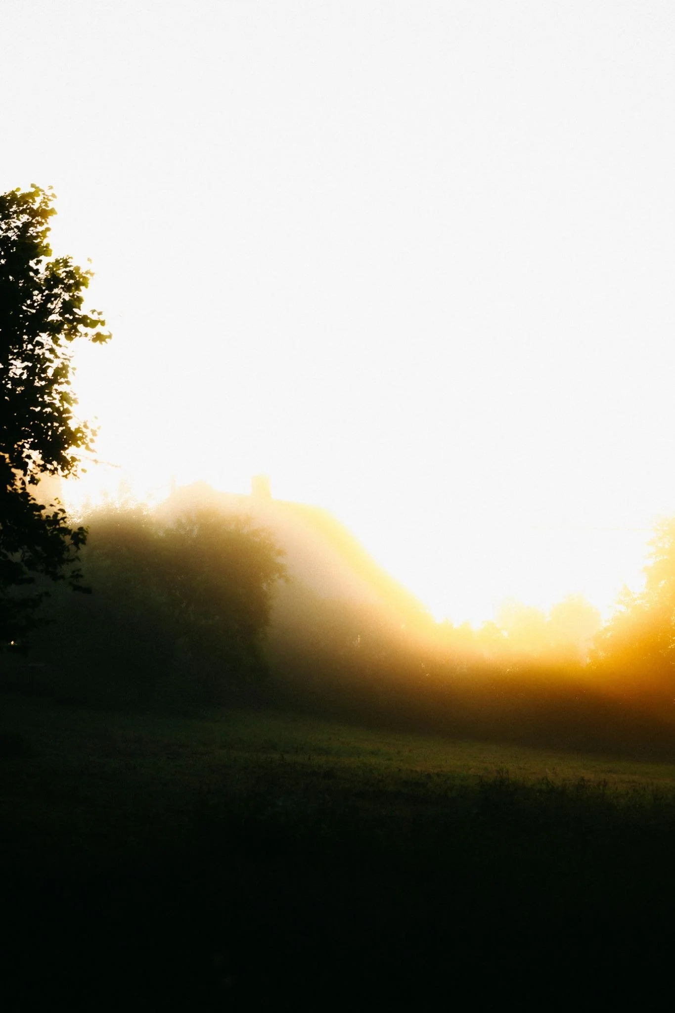 Signs Your Nervous System Is Healing