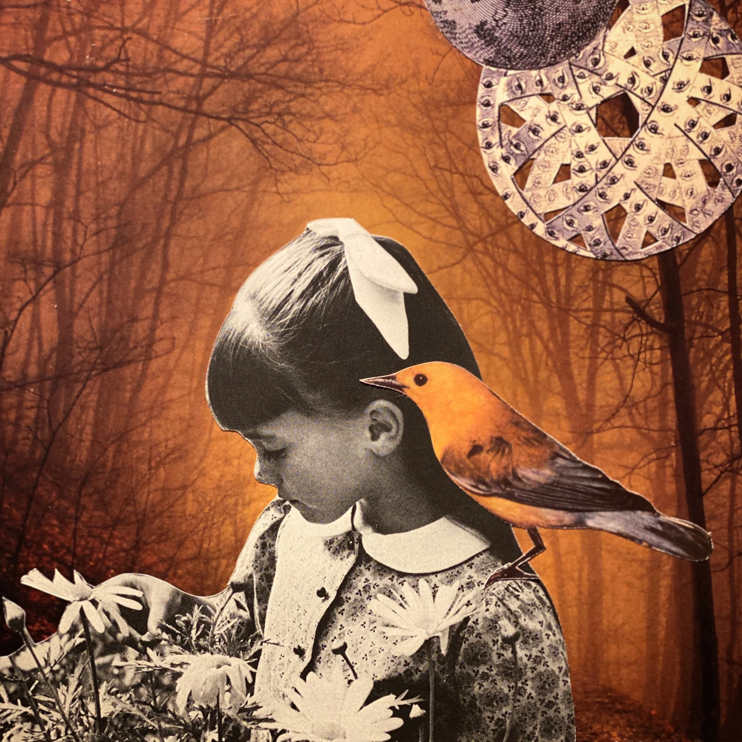 "Beware of the Pretty Things that Hide in the Forest", 2020, Hand cut paper collage on board with resin, unframed, 7x7"