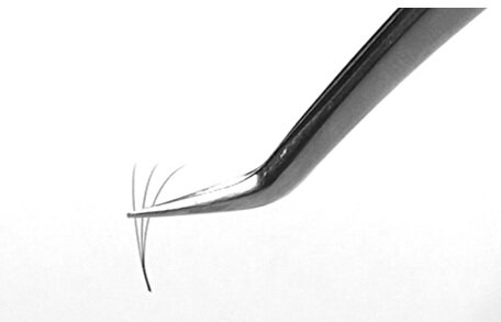 Screen+Shot+2021-09-29+at+3.36.56+PM.jpg