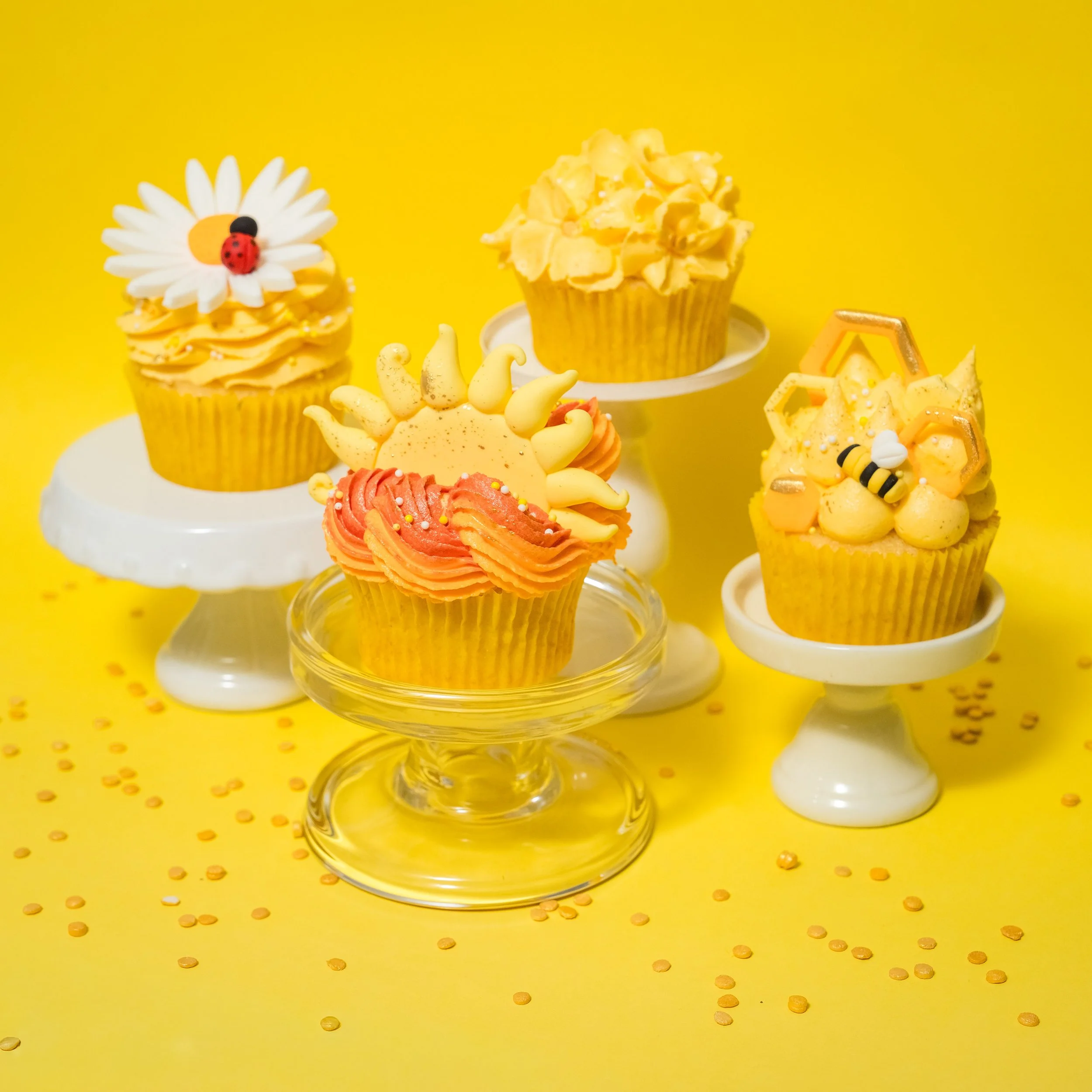 You Are My Sunshine Cupcake Class • 2pm, Saturday 14 March