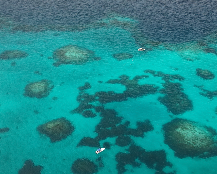 drone_shot.png