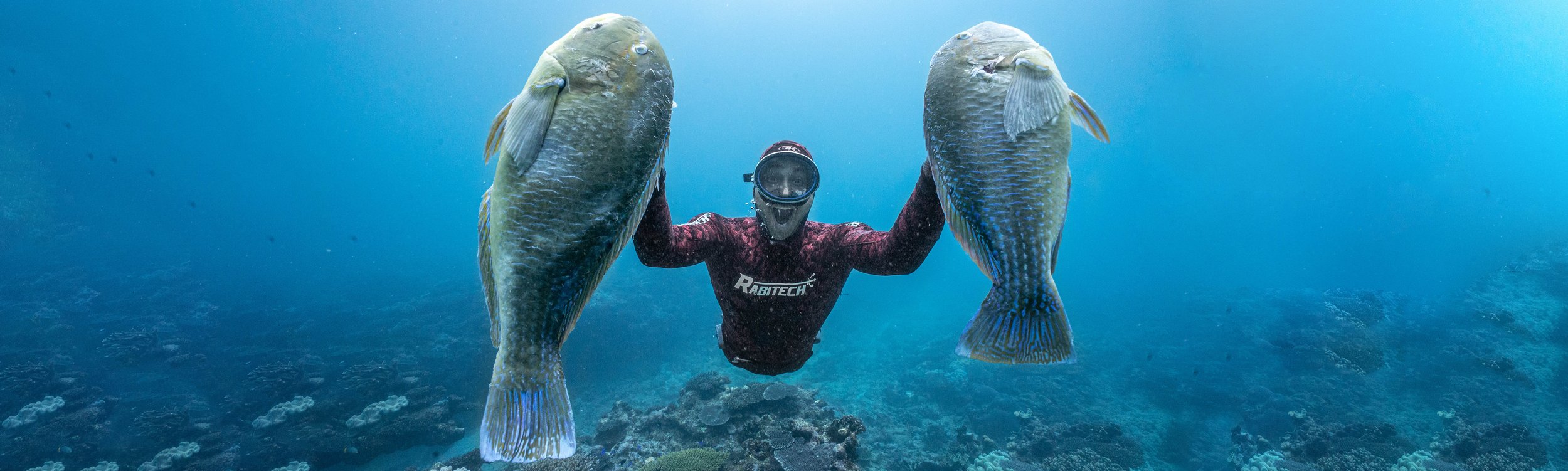 Freediving for Spearfishing - learn how to spearfish in a safe manner —  Freediving Family